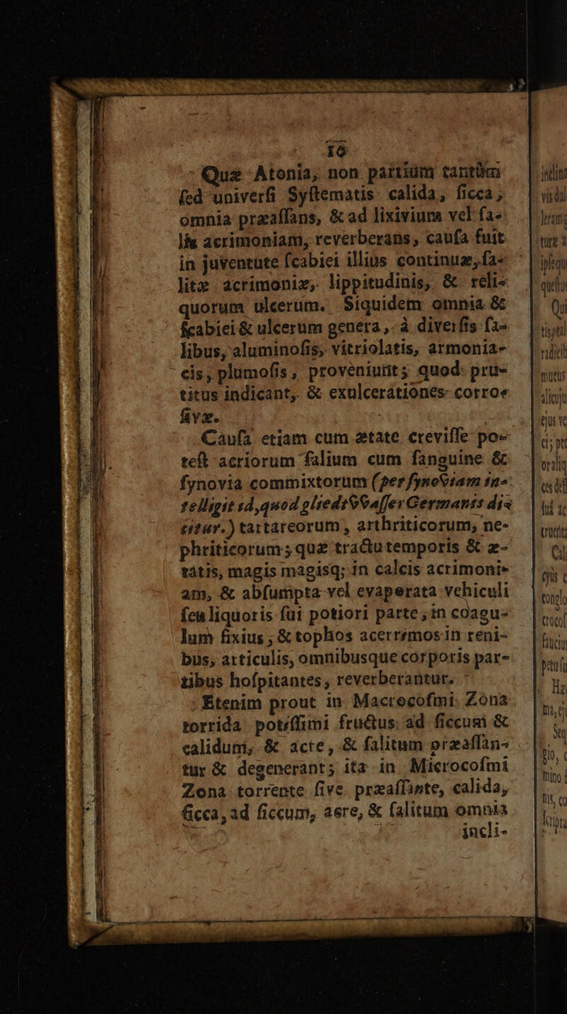 Quas Atonia, non partium tantüm (ed univerfi Syftematis: calida, ficca; omnia praaffans, &amp; ad lixiviuna vel fa- lis acrimoniam, reverberans, caufa fuit in juventute fcabiei illius continuz, fa- litz acrimoniz, lippitudinis, &amp; reli- quorum ulcerum. Siquidem omnia &amp; fcabiei &amp; ulcerum genera ,. à diveifis fa- libus, aluminofis, vitriolatis, armonia- cis, plumofis , proveniurit; quod- pru- titus indicant. &amp; exulcerationes- corroe füivz. Caufa etiam cum atate. creviffe- po- tet acriorum falium cum fanguine &amp; fynovia commixtorum (2er fynoStam ta- telligit sd, quod gliedtSa[fev Germanis dis (fur) tartareorum, arthriticorum; ne- phriticorum; quz tra&amp;u temporis &amp; z- tátis, magis magisq; in calcis acrimoni» am, &amp; abfumpta vcl evaperata vehiculi fca liquoris fui potiori parte; in coagu- lum fixius ; &amp; tophos acerrémos in reni- bus, articulis, omnibusque corporis par- tibus hofpitantes , reverberantur. Étenim prout in. Macrocofmi. Zona torrida potffimi fraus: ad. ficcum &amp; calidumi, &amp; acte, &amp; falitum przaffan- tur&amp; degenerant; ita in. Microcofmi Zona torrente five. przaffinte, calida, Gicca, ad ficcum, aere, &amp; (alitum omnia . hn incli- jain. vis di len; tur ipequ quét)
