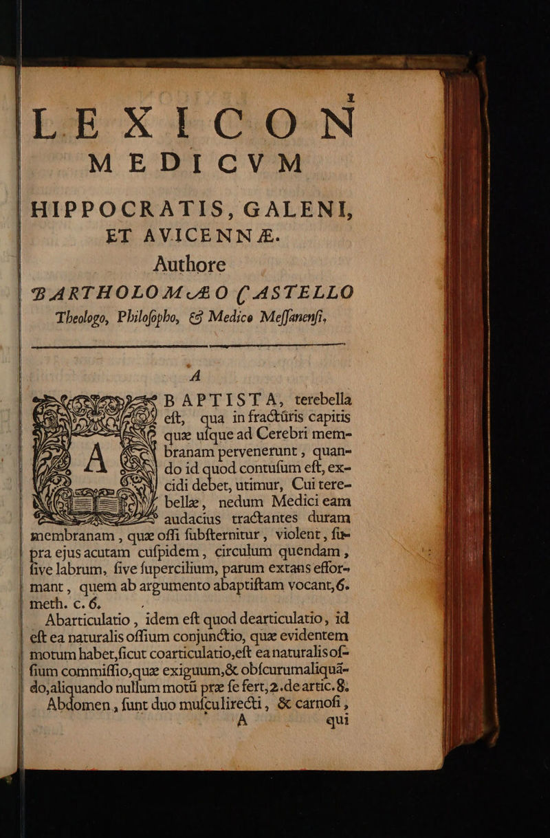  ILEXICON MEDICVM HIPPOCRATIS, GALENI, | ET AVICENN 4. | Authore 9.ARTHOLO2€MCUBSO (.ASTELLO Theologo, Pbilofopbo, € Medice MefJanenfi,    | A «S BAPTISTA, terebella eft, qua in fractüris capitis (9 quz ufque ad Cerebri mem- X branam pervenerunt , quan- | do id quod contufum eft, ex-   * belle, nedum Medici eam | ΕΞ ΞΡ. audadus tractantes duram membranam , quz offi fübfternitur , violent , fie | praejusacutam cufpidem, circulum quendam, five labrum, five fupercilium, parum extans effor- | mant, quem ab argumento abaptiftam vocant, 6. meth. c. 6. | Abarticulatio , idem eft quod dearticulatio, id 1 eft ea naturalis offium conjunctio, quz evidentem morum habet ficut coarticulatio,eft ea naturalisof- fium commiffio,que exiguum,&amp; obícurumaliquà- do,aliquando nullum motü prz fe fert, 2..deartic.8; Abdomen, funt duo mufculirecti, &amp; carnofi, A qui                           