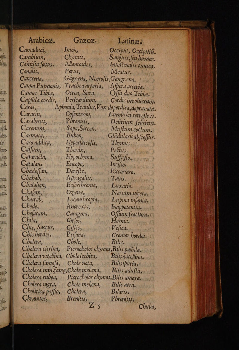    uon flc itl — τϑ TITO ὙΠ, ΜΔ, if. ἢ  Atabica. Grece. . Latinz,; Camaduci, Inton, Occiput, Occipitifi, Cambium, Chymus, Sanguis, feu buproy. Camifia foetus... Allantoides, Intestimalis tunica. Canalis, Porus, Meatus. | Cancrena, Gágrama, INecrofis,Gangrena. Canna Pulmonis, Tracbea arteria, | Afpera arteria, Canne Tibe, .| Ocrea, Sura, Of]a duo Tibis, |: Cap[üla cordis, .— Pericardium, Cordis inoolucruin. Caras, Aphonia, Traulus, Vox deperdita, depravata. Caratin, G»[enteron, Lumbric terreflves. Carabitus, Phrenitis, Delirium febriens. Carenum, Sapa,Sireon, Muftum cotlum., Carmata, Bubon, Gladularü ab(ceffus. Caro addita, Hyper[axcofís, Tnnc Caffum, Tborax, Peclus. Cataracia, Hypochyma, δ πο... Catalan, Encope, Incifio. Chade[Jan, Derefle, Excoriare, Chabab, Aftragalus, Talus. Chalaban, Ecjarthrema, Luxatio. Chafem, Ozanc, o Narm ulcera, Charrab, Lycantbropia, Lupma in[aniá. Cede, Anorexia, TInappetentia. Ὁ Cbefaram, Catagma, Offium fractura. : Chia, Cir os, Hernia. Chis, Saccus, Cus, Vefica. Chis hordei, Pofana, Cremor bordei. Cholera, Chole, Bilis. Cbolera vitelna, | C bolelechita, Cholera famo[a, || Chole nota, Cholera min.famg,Cbole melena, Cholera vubea, Cholera nigra, ..— Cbole melna, Cholirica paffio, . Choleva, Chbranites, Brenitis, Bilis vitellina. Bilis [Puria. Bilis adul, Bilis atra. Bilaris. Dbrenitis. Chula,                                                   