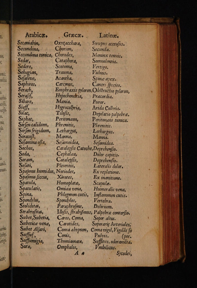 ir. lh b: JOD coh ill, nt ῃ r J /  Arabica 3 Secaniabin, Secunda, Gr &amp;€cae. O»zacchara, Cborion, Sedar, one ebagian, Se[aleve, Sapbiros, Serach, Serafif, Sibare, Sieff, $1lac, Sipbac, Sir[en calidum, Catapbora, Scotoma, Trauma, Acantba, Cavcynos, Latinz, Swrupus acetofus. Secunda: Menmx tenuis, Somnolentia, Vertigo. Vulnus. Spine apex. Cancri! fpecies, Hypochondria, Mania, Hygrocollyria, T.lofis, Peritonzon, Phrenitis, Siracof?, Sifamina ofa, Sochos, Soda, . Soram, So[ati, M anna, Se(amoidea, Precordia. Furor. Depilatio palpebve. Letbargus. Manna. Sefamidea. Cepbalea, Catalepfis, Pleuritis, Spa[mus ficus, Spatula, Spatulatis, Spma, Spondylus, Stoliditas, Strabrofitas, Subet,Subetia, Subetice vene, Subet Al(ari, Suffuf, Suffumipia, Sur. 4) Xisrotes, Homoplat, Omica vena, Pblegmon cutis, Spondylos, Parapbrofyne, Dolor capitis. Deprebenfio. Lateralis dolor. Ex repletione. Ex inaniticne. Scapule. Humeralis vena; Inflammen cutis. Vertebya. Delirium. Qaros, Coma, Carotides, Sopor altus. Conis, Tbymiamata, Ompbalos, Á 4 Pulvis. (por. Vmlilicus. Sycoder,   