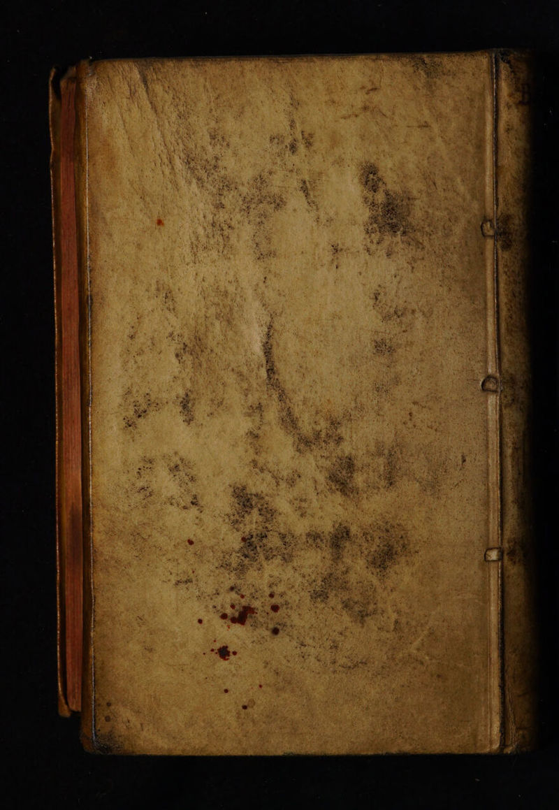No text description is available for this image