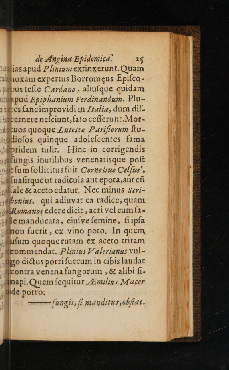 de Zngina Epidemica. 2$ Ziasapud Pinium extinxerunt. Quam Xilnoxam expertus Borromeus Epiíco- 1gus tefte Cardano , aliufque quidam iffa pud Epipbanium Ferdinandum. Plu- uufres faneimprovidi in Zzzl;z, dum dií- yicernere nefciunt,fato cefferunt. Mor- détuos quoque Zzzezie Parifforum Ítu- áfdiofos quinque adolefcentes fama düpridem tulit. Hinc in corrigendis wllfungis inutilibus venenatisque poft lie (um follicitusfuit CorzeZius Celfus, s fuafitque ut radicula aut epota;aut cü lale &amp; aceto edatur. Nec minus $cri- allbonius, qui adiuvat ea radice; quam MR manos edere dicit , acri vel cumífa- /llle manducata, ceiufveíemine, fiipfa Jlnon fuerit , ex vino poto. In quem llu(um quoquerutam ex aceto tritam ;llcommendat. Pius Z alerianus vul- ( ligo di&amp;tus porri fuccum in cibis laudat llicontra venena fungorum , &amp; alibi f1- llnapi. Quem fequitur Zzzlzus M acer lide porro: —À x funais, ff mauditurobflat.