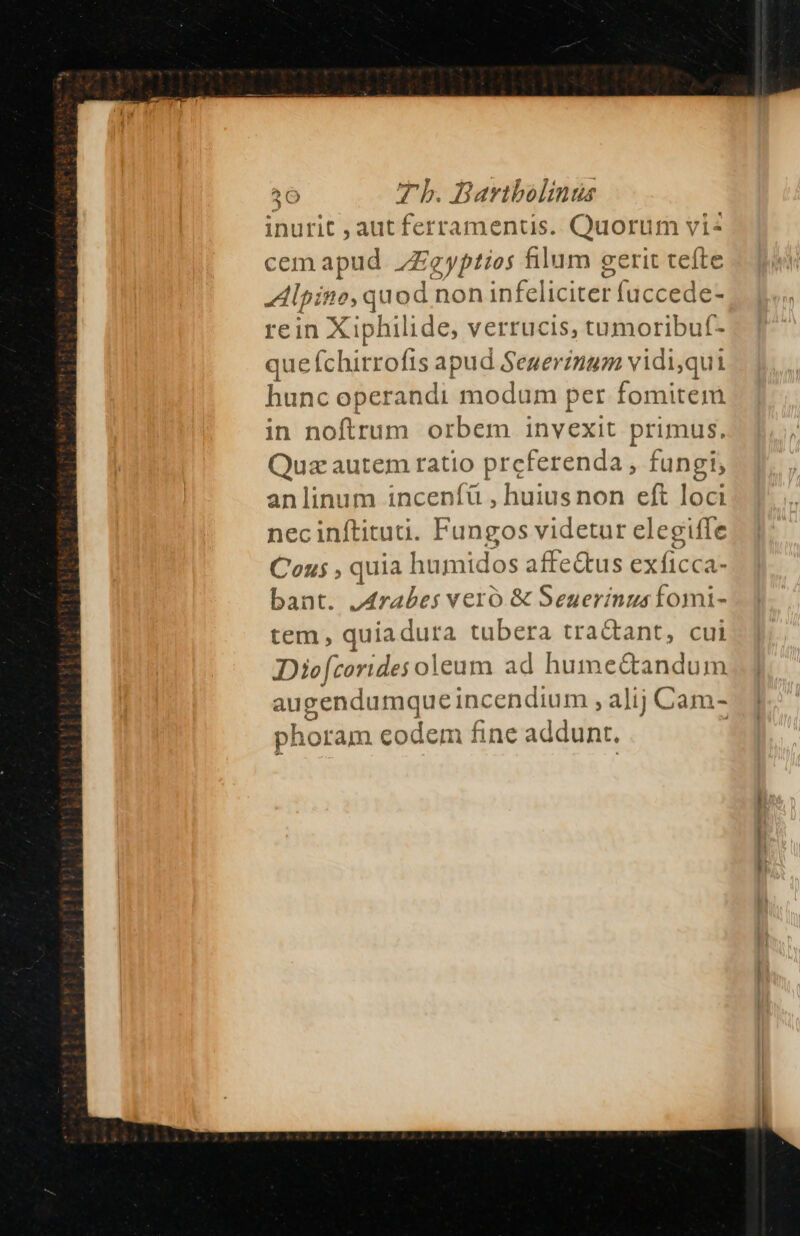 inurit , aut ferramentis. Quorum vi« cem apud. ZZeyptios filum cerit tefte Alp deba non infeliciter fuc cede- rein Xi philide, verrucis, tumoribuf- que chirrofis: apud Segerinum vidi,qui hunc operandi modum per fomitem in noftrum orbem invexit primus. Quz autem ratio preferenda , hne anlinum incenfü , huius non  loci nec inftituu. Fungos videtur elegiffe Conus , quia humidos affe&amp;us Exictdl bant. Arabes vero &amp; Seuerinus fomi- tem, quia dura tubera tractant, cui Diofcorides oleum ad humec&amp;tandum Vepednqqirin: endium , alij Cam- phoram codem fine addunt. |