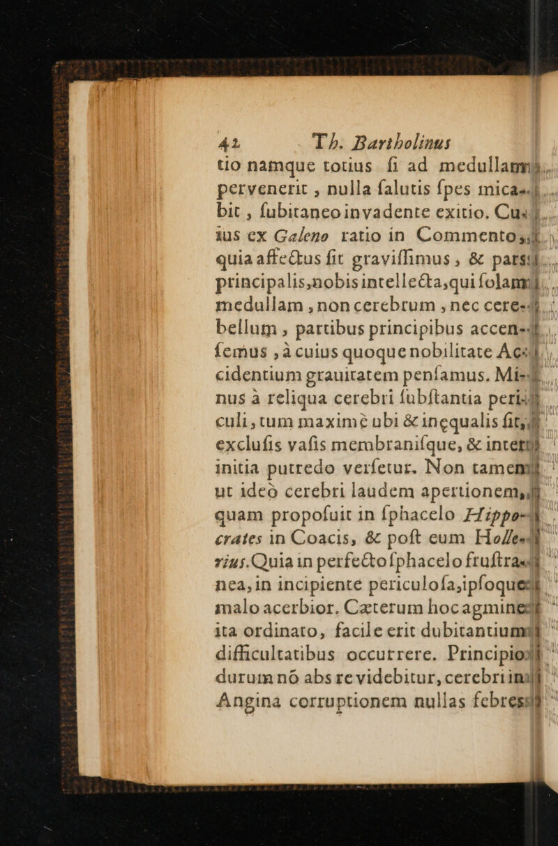 tio namque totius. fi ad medullam. pervenerit , nulla falutis fpes micas... bit , fubitaneoinvadente exitio. Cus. ius ex Galego ratio in Commento.» quia affe&amp;us fit graviffimus , &amp; pars9l.... principalis,nobisintelle&amp;ta;qui folannj.. medullam , non cerebrum , nec cere-4).; bellum , partibus principibus accen-4t.. Íemus ,àcuius quoque nobilitate Ac«y. cidentium grauitatem penfíamus. Mi. nus à reliqua cerebri fubftantia peris. culi, tum maximé ubi &amp; incqualis fit; exclufis vafis merabranifque, &amp; intettj initia putredo verfetur. INon tamen ut ideo cerebri laudem apertionem,jlj quam propofuit in fphacelo FZzppe-l crates in Coacis, &amp; poft cum HoZe«dl 7iuj.Quiain perfe&amp;tofphacelo fruftra«dd nea, in incipiente periculofa;ipfoquegt '' malo acerbior. Caterum hocagminegdi ita ordinato, facile erit dubitanuumgdd  difficultatibus occurrere. Principiodt ' durum nó abs re videbitur, cerebriimill * Angina corruptionem nullas febres ^