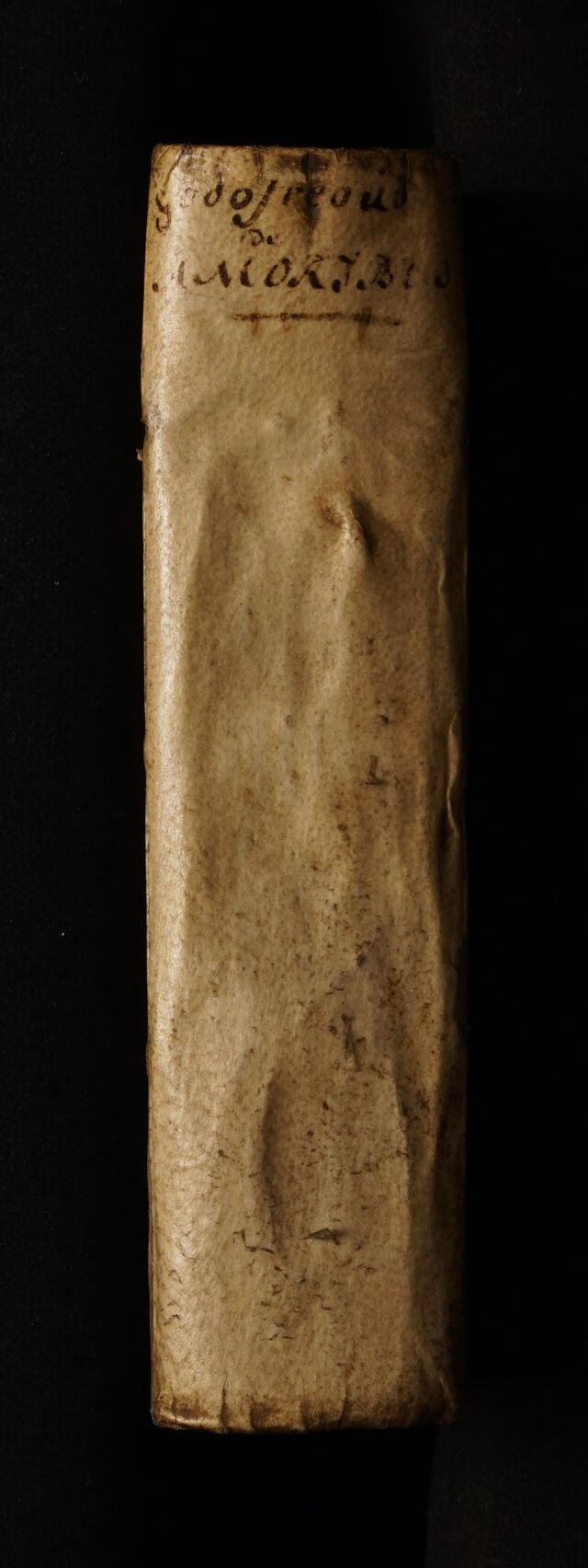 No text description is available for this image