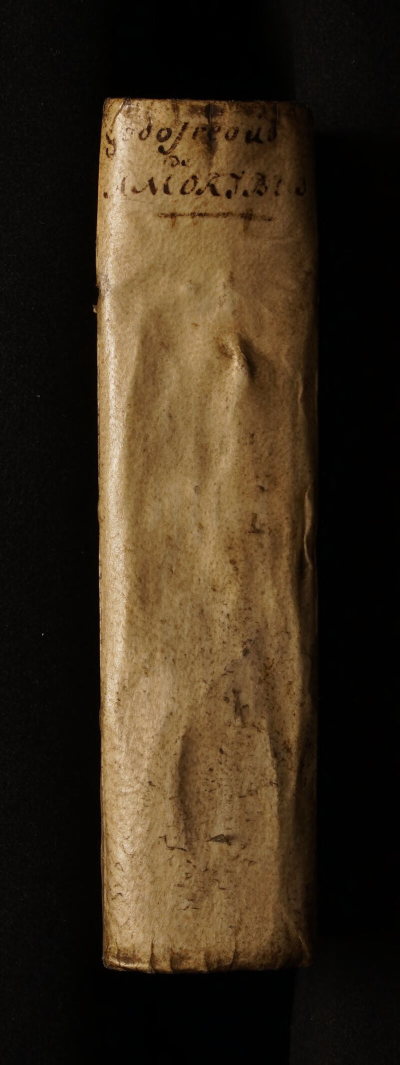 No text description is available for this image