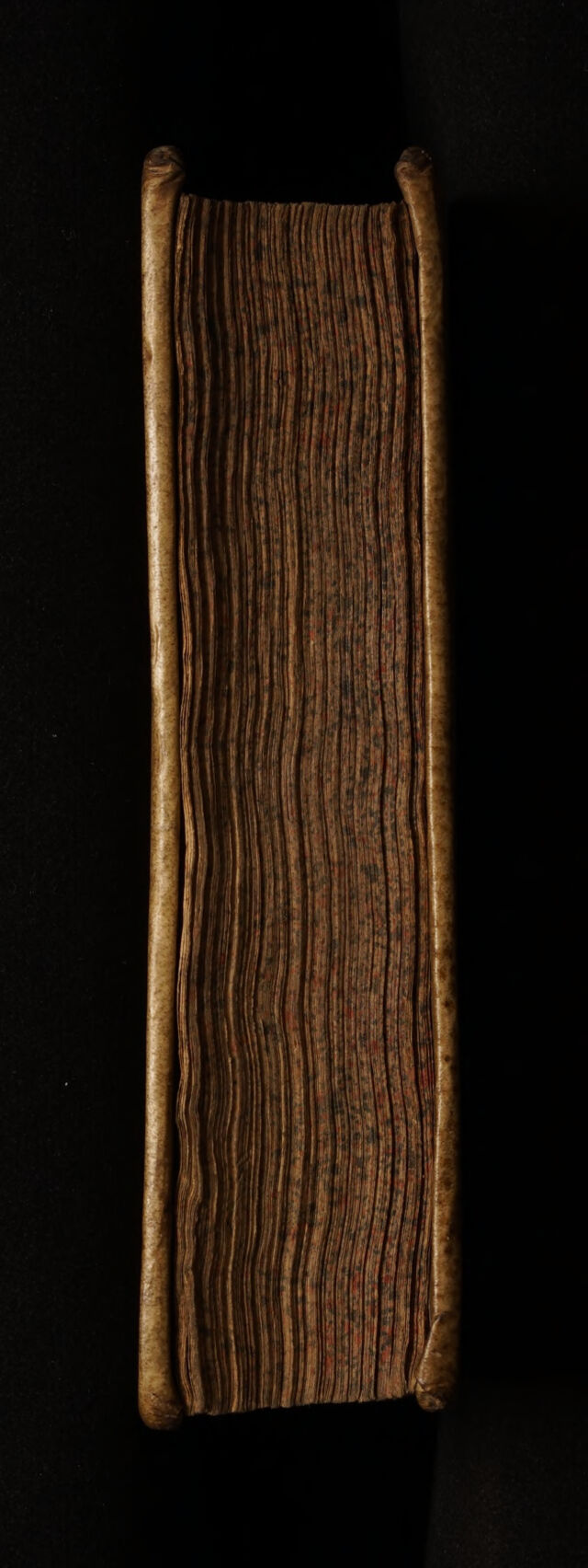 No text description is available for this image