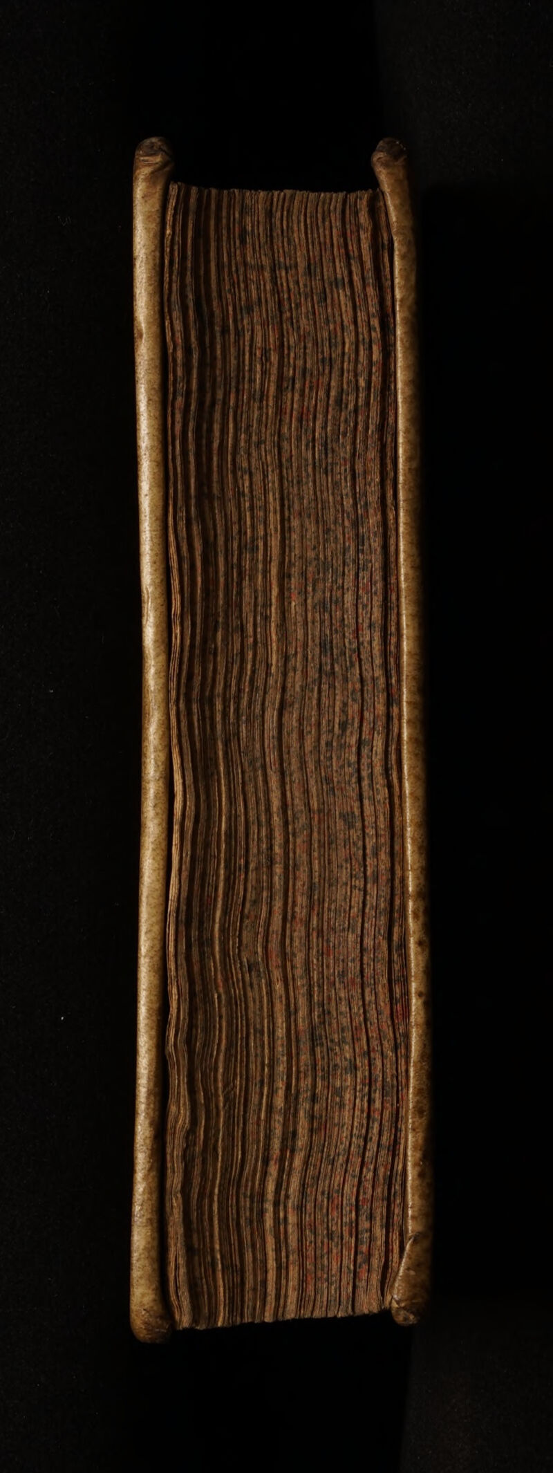 No text description is available for this image