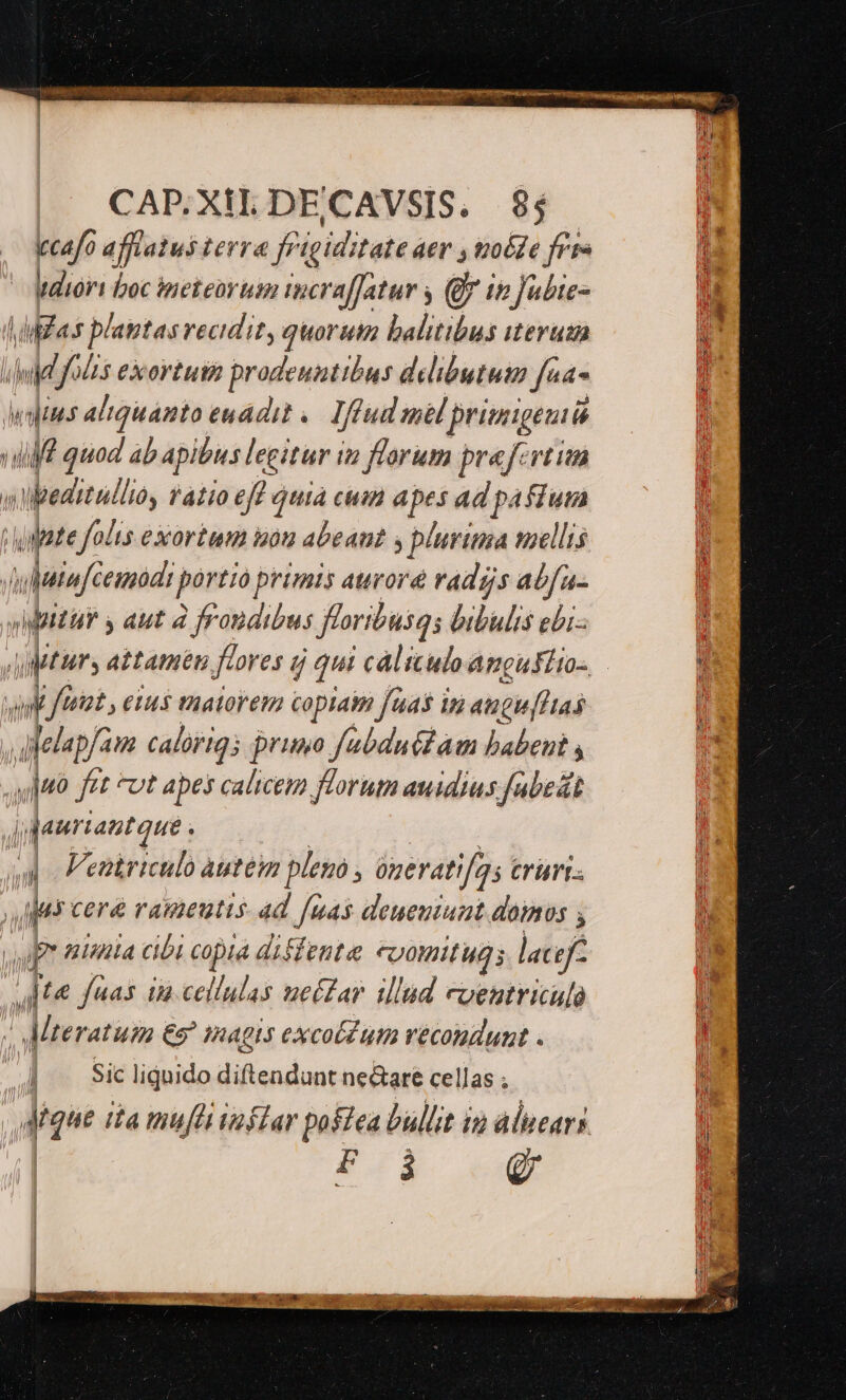 CAP.XILDECAVSIS. $84  ccafo afflatus terra fF igiditate der , toéfe frr it udiori boc meteor um incra[[Jatur 4 (y in abies LiZas laptasrecidit, quoruta balitibus iteruz ll M fos exortuin prodeuntibus delibutum fea- wins aIquanto uadit «— Iftud mil primigenii dii quod ab apibus legitur i in florum prefertim cbdiulio tàtio eff quia cuim apes ad paffum iate folis exortum in abeant s plurima mellis Julie eni. portio primis auroré radgs ab[a- pttur s aut à frondibus floribusq; bibulis ebi- | wur, attamen fto es dj qui cálttuloangugLio-. T vil fteiat , enus matorem copiaim fuas in augu[Itas H AMelapfam calorigs prumo fabduttam babent , juo fet ^ot apes calicem florum auidius fabeát Miienroet p - Veniriculo auteim pleno , óneratifa; trürt: Mer cere rameutis- ad [uas deueuiuat domos , jpr tniinia cibi copia disfeute «vomitug; lacefc jte faas in cellulas uefZar illad cueutriculà 1 Linatieio €5^ inagis excol um vecondunt .  ] Sicliquido diftendunt necare cellas ; per ita mufli inflar pofiea bullit in aluears EY Q