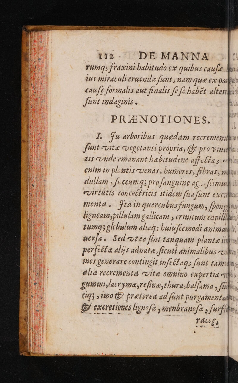 f J Yuma j fraxim babitudo ex quibus caufee Du B ius uira.ulieruende funt , uam que ex pau p EU canfe formalis aut fraalis fe fe babet altenbiul BH Junt udagimis, n PRZNOTIONES. |l I. Ju arboribus quedam vecrememlis fnt cuite cotgetanti propria , (gy pro viuidn: L5 cunde emanaut babitudrge afleéda s «« : enim tn platitis coenas , bumores, feras, bw D a dullam , fi cuim gs pro fanguine AC fetu) CTUM eoirtatis concet£ricts itidem faa funt exclus us neata. 3a iz quercubus fungum, [pondo ligueam, pillulam £allicam y ertum capti 14:95 elchulum aliaQ5 buiuftemodi antinadMi uera « ded eut ea fint tanquam plante ipo. perfecta alis aduata, ficuti animalibus elo: Vies Qeuevave coutiugit tnféé2ags fant tau | alia vecretaenta eutte ommino CXpertra ed | guum lacrymayrefraaytbura ;bal/atna , Jena, T Ma (45 3 Uno ' preterea ad funt purgaineuta fw, B £ exeretiouts liemofe y asenbranofa s fuvfio €— zu pA - rer e atr hu tu a e er ru aa Re Lo. : CERE SU m ———ÁÁ E: x m ———— — - 5er. k-Y | | i me eeu. m s B rác, *