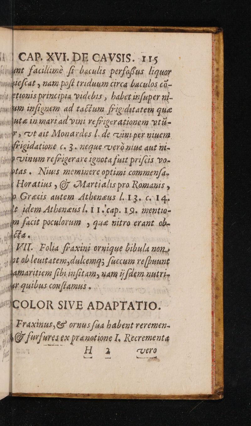 dm faaltuni fe baculis perfo o(fus Itquar | n pofiat » £4 pofe triduum circa Gaculos cd- 4 v pri principia videbis , babet wfuper ui- n wit tnfecoaeta ad taí£um Jrigiditatetn que : te Ur ad vus ve frigerattonem tits ws eot ait Mogardes L.de cuiu per ue Piae («3 4€Que cero niue aut i ii culum vefeigerare (quota fut prifca vo- ptas OANuM$ Gmemiusere OptLuni comuienfa- sl Horatius , Qf eMartialu pro Romanis , wp. Grecis autem Athenaeus l.X.3. 0714. | » idem At beuaus l. Y 1. tap. 19. zreutio- Jpn facit poculoruum. ie vitro eraut .ab- qu í | a FIL. | Folia fraxiai ornique bibula uon» dpt. ob leui ratem dalem]; faccum re[puunt | damaritien f fetu iafitaun, uatu 7j [deu.uutris r2 quibus coe[Hams « «JcoLoR SIVE ADAPTATIO. ] Fraxinus,€9 oruus [aa babeut reremen- M wnfures ex pranotioue I, Rtcrementa H a cuero E^ eL — n