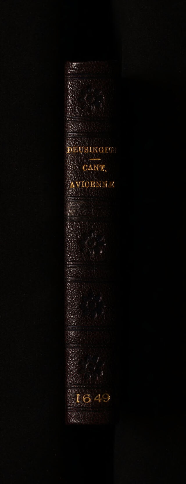 digitised image 2