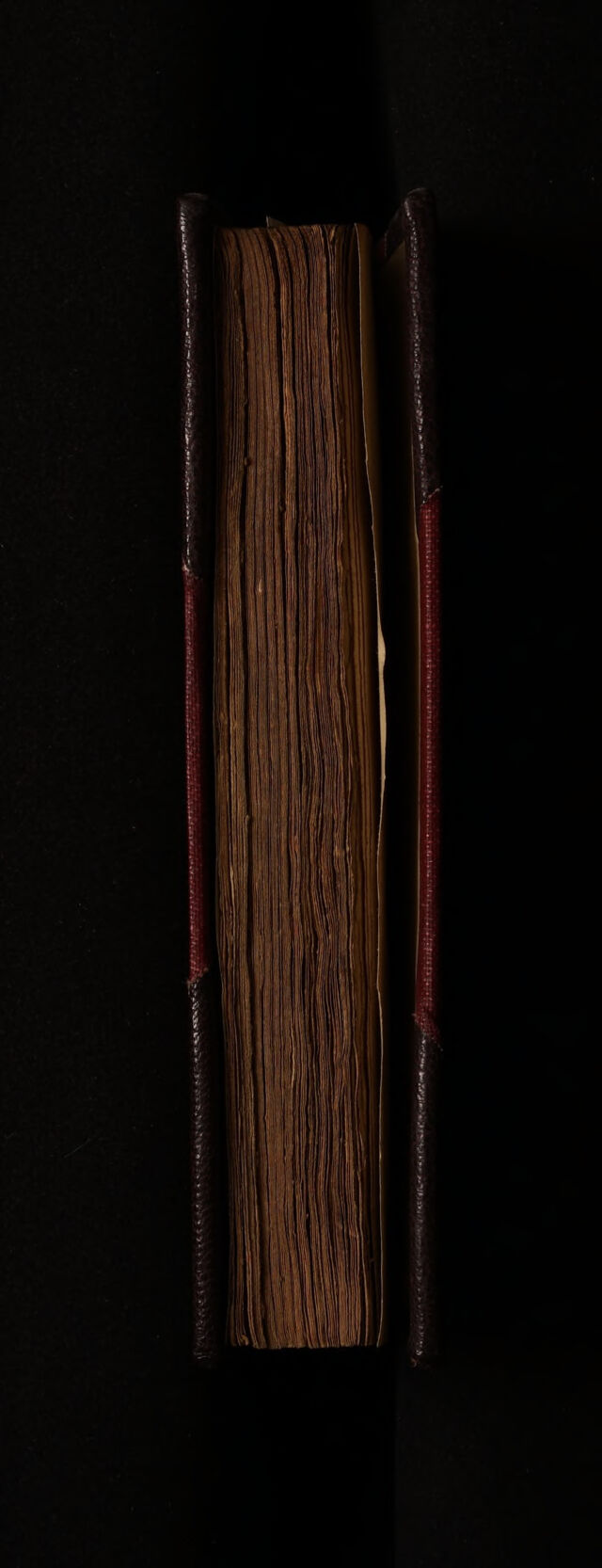 digitised image 3