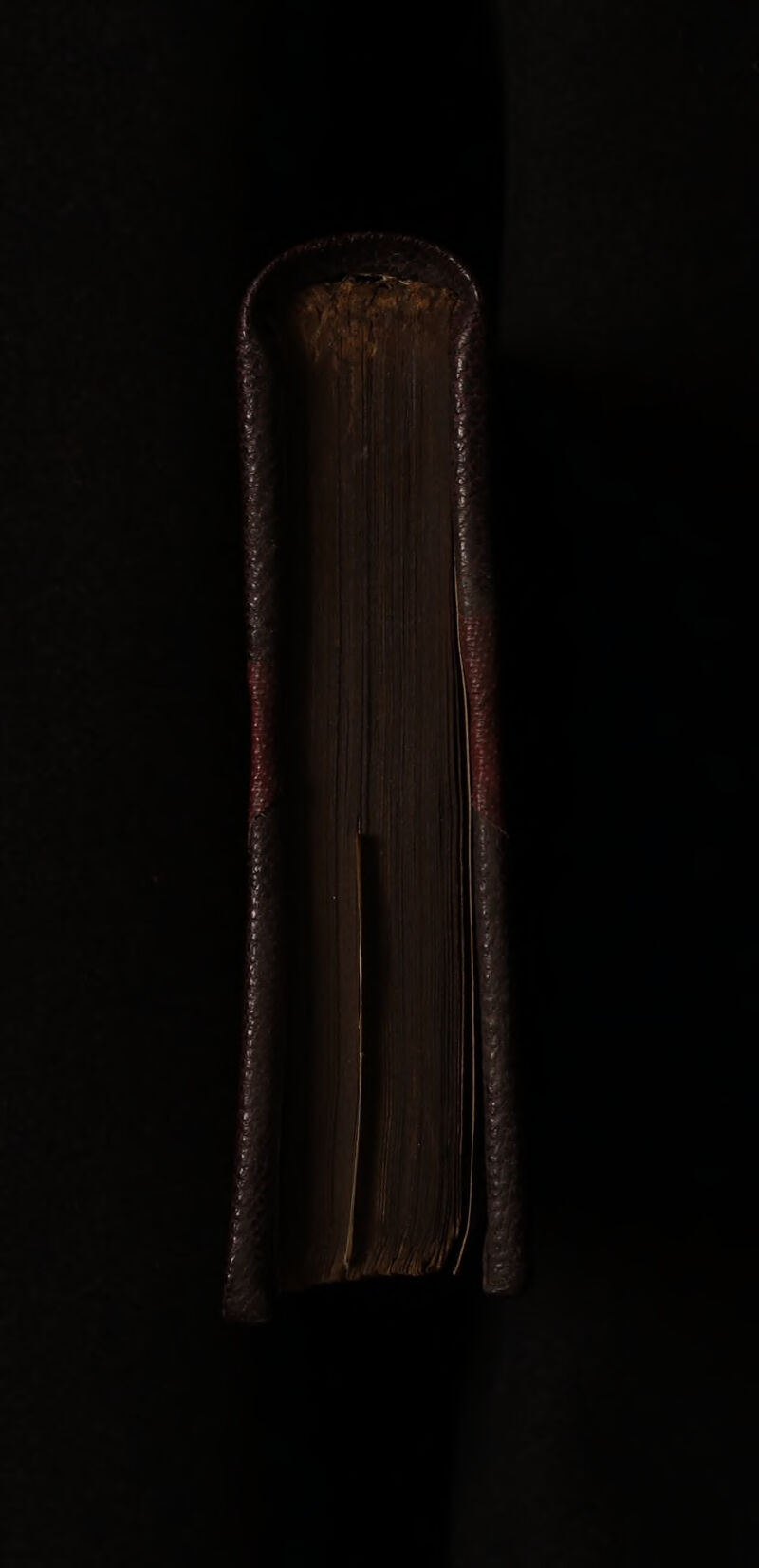 No text description is available for this image