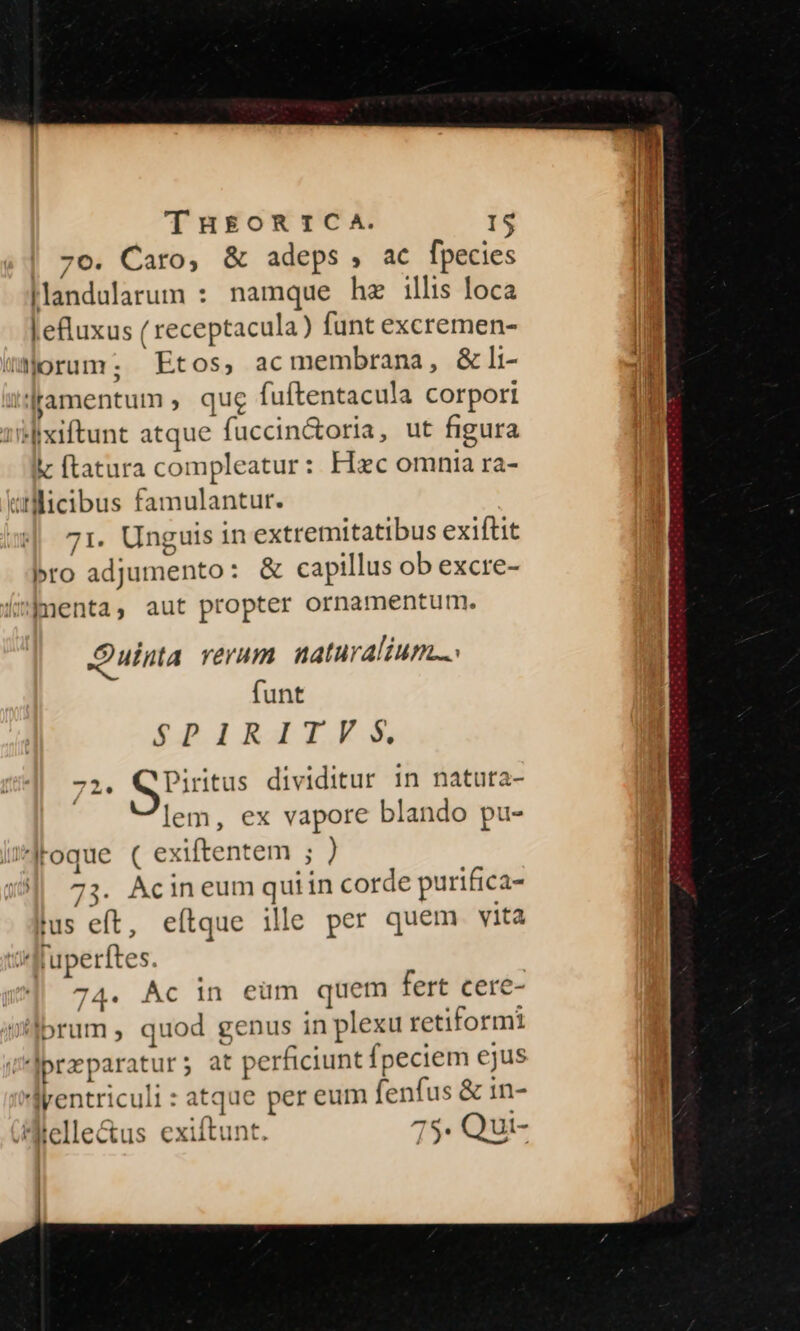 THEORICA. 1$ 70. Caro, &amp; adeps , ac fpecies Mandularum : namque hz illis loca | efluxus ( receptacula) funt excremen- wmiorum; Etos, ac membrana, &amp;li- ifamentum, que fuftentacula corpori 'Mixiftunt atque fuccin&amp;oria, ut figura i ftatura compleatur: Hzc omnia ra- «rllicibus famulantur. 71. Unguis in extremitatibus exiftit bro adjumento: &amp; capillus ob excre- jenta, aut propter ornamentum. Ouista rerum naturalium... funt ERAIRITAOX M 25. Q'Piritus dividitur 1n natuta- ! lem, ex vapore blando pu- oque ( exiftentem ; ) Acin eum quiin corde purifica- 73: fus eft, eítque ille per quem vita Wffuperftes. 74. Ac in eüm quem fert cere- ütibrum , quod genus in plexu tetiformi Jprzparatur; at perficiunt fpeciem ejus Tyentriculi : atque per eum fenfus &amp; in- Hielle&amp;us exiftunt. 75. Qui-