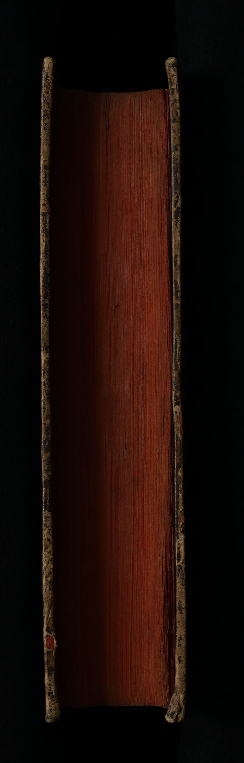 No text description is available for this image