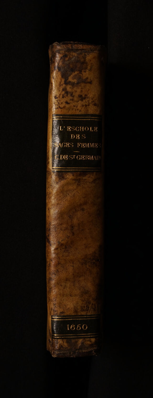 No text description is available for this image