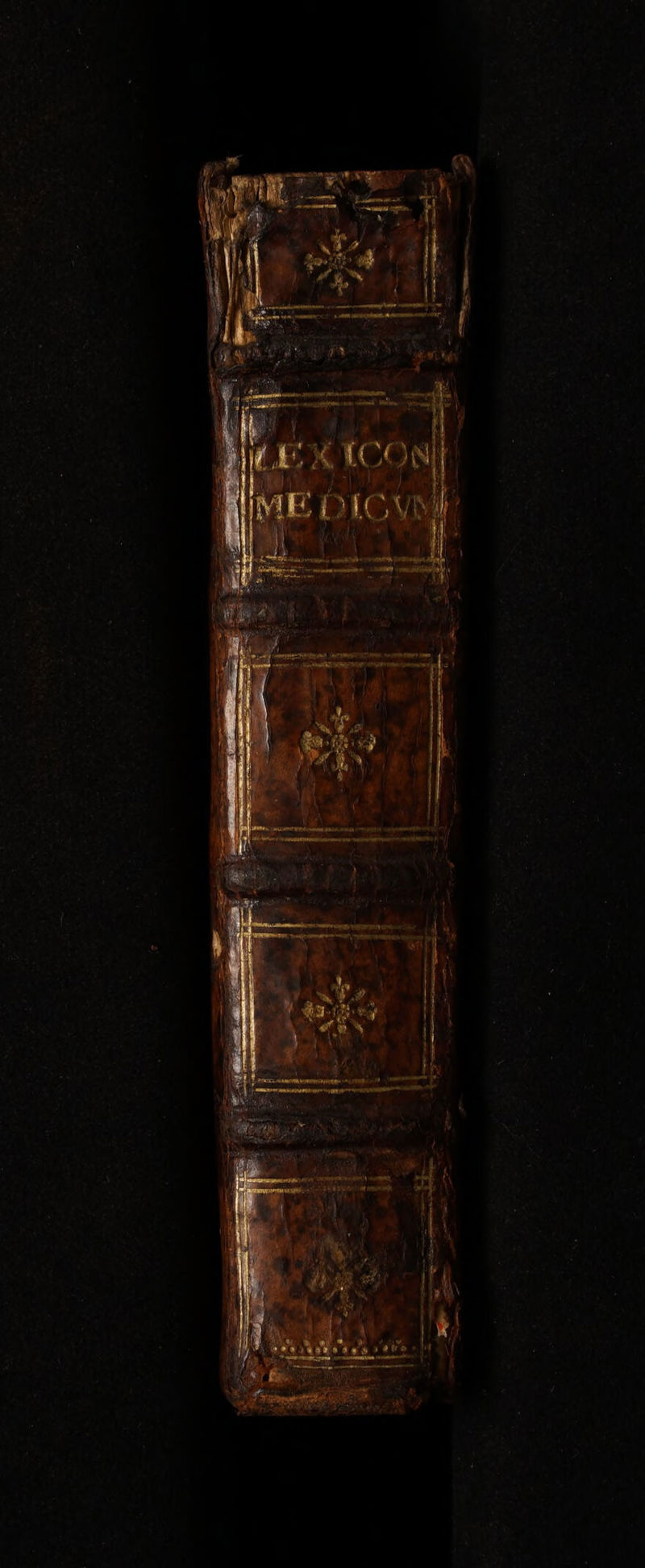 No text description is available for this image