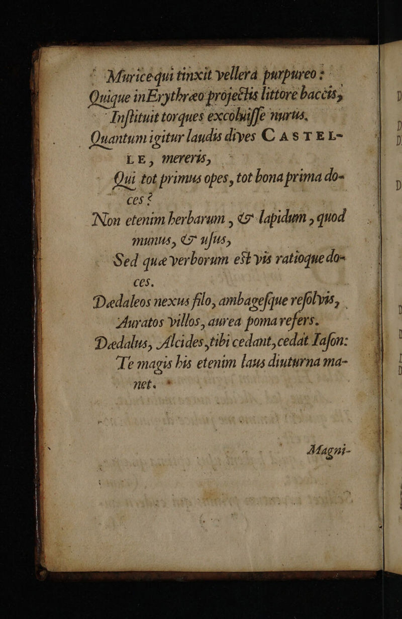 * Muricequi tinxit vellera purpureo : Quique in Eyythreo project littore bacéis; - dnflituit torques excobiffe nurtis, Ὁ Quantum igitur laudis dives C As T EL- LE, MEYCIU, - Qui tot primns opes, tot bona prima do- V CPEE | | | Non etenim berbarum , «7 lapidum , quod munus, «7 ufus, | Sed que verborum e$t vis vatioque do- ces. TDeedaleos nexus filo, ambaefque vefolyas,, zluratos illos, aurea pomavefers. Deedalus, Alcides tibi cedant, cedat Tafon: Te magis bis etenim laus diuturna ma- et. 