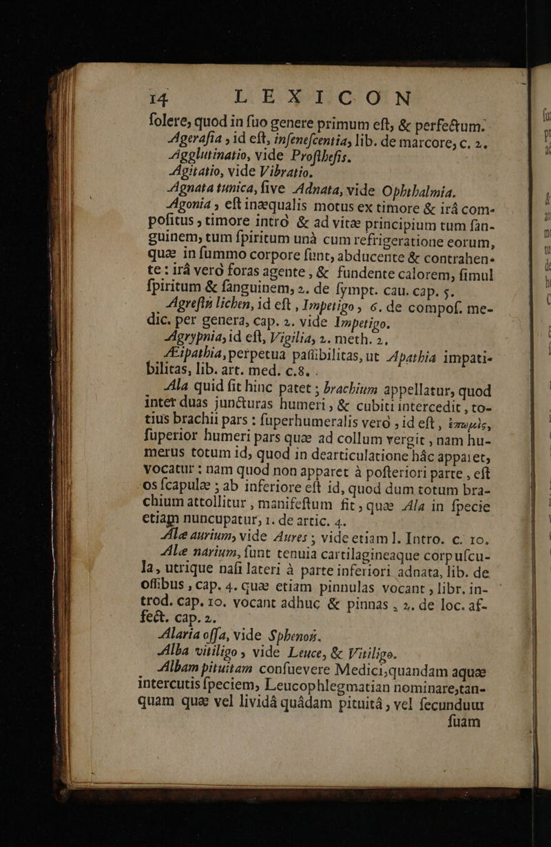                               14 LOE HO OUN folere, quod in fuo genere primum eft, &amp; perfe&amp;um. Agerafia y id eft, infenefcentia, lib. de marcore; c. 2. Agglutinatio, vide Proflbefis. -Agitatio, vide Vibratio. gnata tunica, five. Adnata, vide Ophibalmia. Agonia 5 eR inzqualis motus ex timore ἃς irá com- fpiritum &amp; fanguinem, ». de fympt. cau. cap. s. Agreftn licben, id eft , Impetigo , 6. de compof. me- dic. per genera, cap. 2. vide Lypetigo. Agrypnia;id eft, Vigilia, 1. meth. 2. ZEipathia, perpetua pafübilitas, ut I4pathia impati- bilitas, lib. art. med. c.8. . Ala quid (it hinc patet ; brachium appellatur, quod inter duas juncturas humeri » &amp; cubiti intercedit , to- tius brachii pars : fuperhumeralis vero , id eft, ἐπωμεὶς, fuperior humeri pars quae ad collum vergit , nam hu- merus totum id, quod in dearticulatione Πᾶς appaiet; vocatur : nam quod non apparet à pofteriori parte , eft os fcapulze ; ab inferiore eft id, quod dum totum bra- chium attollitur , manifeftum fit, quae Ala in fpecie etiam nuncupatur; 1. de artic. 4. Ale aurium, vide Aures , vide etiam l. Intro. c. το. Ale narium, (unt tenuia cartilagineaque corpufcu- l2, utrique nàáfi lateri à parte inferiori adnata, lib. de offibus , cap. 4. qua etiam pinnulas vocant , libr. in- trod. cap. ro. vocant adhuc &amp; piunas , . de loc. af- ject. cap. 2. Alaria offa, vide $pbenoz. llla vitiligo y vide Leuce, &amp; Vitiligo. Albam pituitam confuevere Medici,quandam aquae intercutis fpeciem, Leucophlegmatian nominare;tan- quam qua vel lividá quádam pituitá , vel LS d uam    