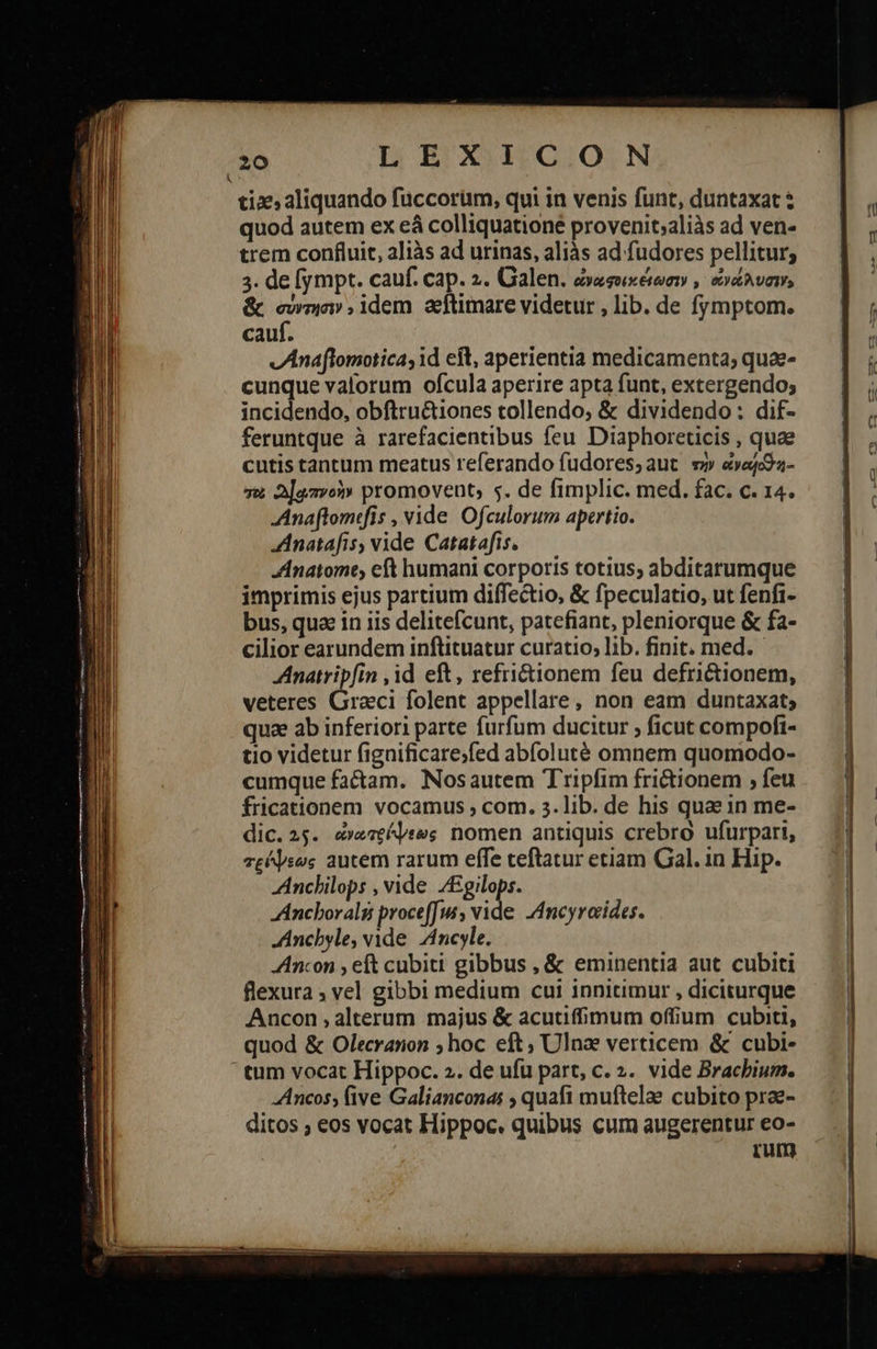                                                    20 L E ΧΥΤΕΟΊΟΙΝ tize, aliquando fuccorum, qui in venis funt, duntaxat ἃ quod autem ex eà colliquationé provenit;aliàs ad ven- trem confluit, aliàs ad urinas, aliàs ad fudores pellitur; 3. de [ympt. cauf. Cap. 2. Galen. ὠναφοικέιξωσιν,, evt? vai, &amp; σύντησιν , idem. aeftimare videtur , lib. de fymptom. cauf. vAnaflomotica, id cit, aperientia medicamenta; que- cunque valorum ofcula aperire apta funt, extergendo; incidendo, obftructiones tollendo; &amp; dividendo: dif- feruntque à rarefacientibus feu Diaphoreticis , quae cutis tantum meatus referando fudores,aut τὴν &amp;yajoa- su 2[gavot» promovent, 5. de fimplic. med. fac. c. 14. Anaflomefis , vide Ofculorum apertio. AAnatafis, vide Catatafis. JAnatome, eft humani corporis totius, abditarumque imprimis ejus partium diffectio, &amp; fpeculatio, ut fenfi- bus, qua in iis delitefcunt, patefiant, pleniorque &amp; fa- cilior earundem inftituatur curatio, lib. finit. med. Anatripfin , id eft, refri&amp;ionem feu defri&amp;ionem, veteres Graci folent appellare, non eam duntaxat; quae ab inferiori parte furfum ducitur ; ficut compofi- tio videtur fignificare;fed abíoluté omnem quomodo- cumque factam. Nosautem T'ripfim fri&amp;tionem ; feu dic. 25. ἀνωατρίψεως nomen antiquis crebro ufurpari, τεύψεως autem rarum effe ceftatur etiam Gal. in Hip. Anchilops , vide 7/Egilops. Ancboralsi proceffus, de Ancyraides. JAnchyle, vide. Ancyle. AAncon , eft cubiti gibbus , &amp; eminentia aut cubiti flexura ; vel gibbi medium cui innitimur , diciturque Ancon , alterum majus &amp; acutiffimum offium cubiti, quod &amp; Olecranon ; hoc eft ; Ulnae verticem &amp; cubi- Ancos; (ive Galianconas ; quafi muftelae cubito prae- ditos ; eos vocat Hippoc. quibus cum augerentur eo- rum 