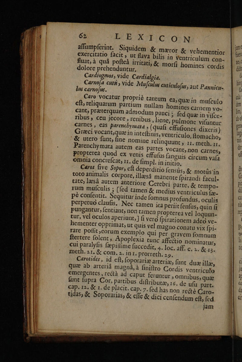                fluat; à quá p dolore prehenduntur. Cardiogmos, vide Cardialgia. Carnoja cuti, vide Mufculus euticulofus, ant Paynicu- lii carnofus. Caro vocatur proprié tantum ea, qua in mufculo eft; reliquarum partium nullam homines carnem vo- cant, praeterquam admodum pauci : (86 qua in vifce- ribus , ceu jecore , renibus, liene, pulmone vifuntur Carnes, eas parenchymata , (quafi effufiones dixeris) Graci vocant;qua in inteftinis; ventriculo, ftomacho; ' &amp; utero funt; fine nomine relinquunt ; 11. meth. ir. Parenchymata autem eas Partes vocant, non carnes, propterea quod ex venis effufüs fanguis circum vafa omnia concrefcat, 11. de fimpl. in initio, Caros five Sopor, eft deperditio fensüs, &amp; motüs ín toto animalis corpore, illaesá manente fpirandi facul- tate; laesá autem anteriore Cerebri parte, &amp; tempo- rum muículis ; [fed tamen &amp; medius ventriculus (ze. pe confentit. Sequitur inde fomnus profundus, oculis perpetuo claufis. Nec tamen ita periit fenfus; quin (i pungantur, fentiant; non tamen Propterea vel loquun- tur, vel oculos aperiunt, ] fi verg fpirationem adeó ve- hementer opprimat, ut quis vel maguo conatu vix Ípi- rare poffit eorum exemplo qui per gravem fomnum flertere folent , Apoplexia tunc affectio nominatur; cui paralyfis faepitiime füccedit, 4. loc. aff. c. 2. &amp; 15. meth. 21. &amp; com. 2. inr. prorreth. 29. Carotides , id eft, foporarize arteriae, funt. duae illae, qua ab arteriá magná,à finiftro Cordis ventriculo emergentes , rectà ad caput feruntur ; omnibus, quae funt fupra Cor, partibus diflributa, 6. de ufu part. tidas; &amp; Soporarias, ἃς e(Te &amp; dici cenfendum eft, fed jam 