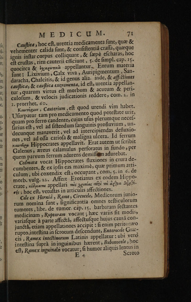                                         MEDICUM. 71 Cauflica ; hoc eft, urentia medicamenta funt, quae &amp; vehementer calida funt, &amp; confiftentiá crafía, quaeque quocirca &amp; ixseenw appellantur, Eorum materia funt: Lixivium ; Calx viva ; Auripigmentum , San- daracha, Chalcitis, &amp; id genus alia. inde, &amp; affc&amp;liones cauflicas ὃς cauflica excrementa, id eft, urentia appellan- tur ,quarum virtus eft morbum &amp; acutum. &amp; peri- culofum , &amp; velocis judicationis reddere , com. 2, iri 1, prorrhet. 6o. Καυτήρμον , Cauterium , eft quod urendi vim habet. quam pro ferro candente, cujus ufus plerumque necet- farius eft , vel ad fiftendum fanguinis profluviüm , un- decunque manaverit , vel ad intercipiendas defluxio- nes , vel ad offa cariofa &amp; maligna ulcera. Id ferrum καυπῆρῳ Hippocrates appellavit. Erat autem ut fcribit quem parvum ferrum adurens demiffilm adurebat. Cedmata vocat Hippocrates fluxiones in crura de- cumbentes, &amp; ex ipfis eas maximé, qua primum arti- culum , ubi coxendix eft ; occupant , com. 5. in 6. de morb. vulg. 22. Affert Erotianus ex eodem Hippo- crate , xpo appellari quie χρονίας «fol mi appe 2]e2s- «i; ; hoc eft vetuftas in articulis affectiones. Cie ex. Herniá , Rame ; Circocde, Medicorum junio- rum nomina funt » fignificantia. omnes cefticulorum tumores , libr. de tumor. cap. r5. barbaram fe&amp;antes medicinam ; Rupturam vocant 5 hzc variis fit modis, variafque à parte affe&amp;á, affe&amp;ufque hujus causá con- jun&amp;á, etiam appellationes accipit : fi enim peritonaeo rupto,inteftina in fcrotum defcendunt, Enterocele Gra- cis , Ramex inteflinorum Latinis appellatur: ubi vero inteftina fuprà ininguigibus haerent ; Bubonocele , hoc cft; Ramex inguinalà vocatur; (i humor aliquis lentus in