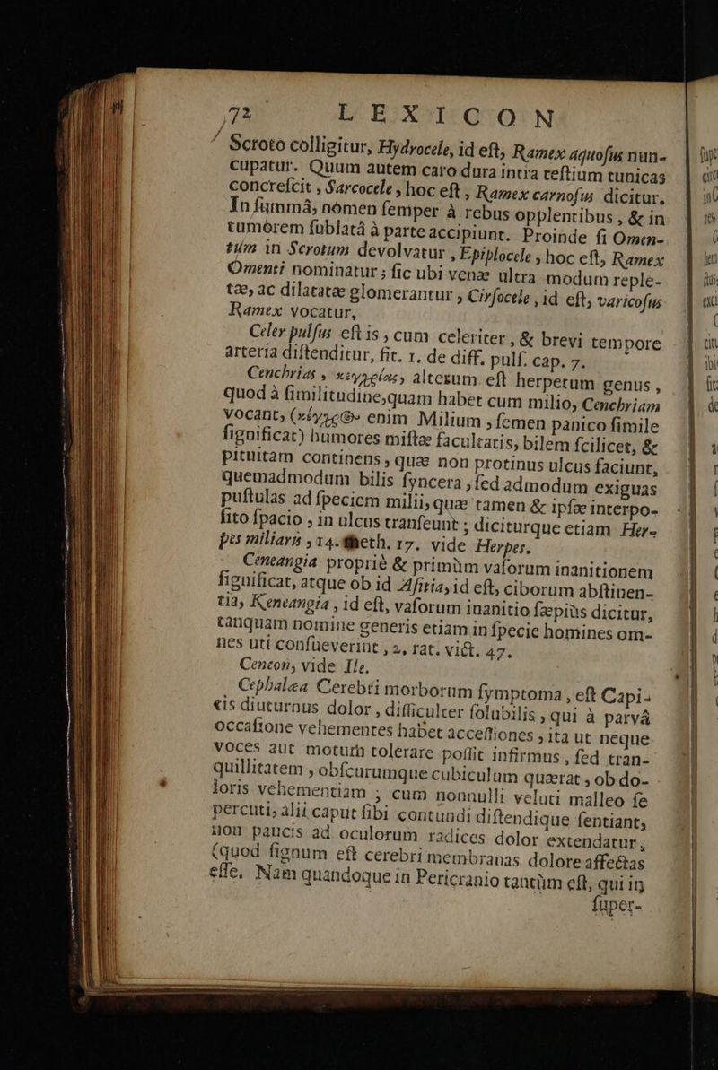                    72 LEXICON ᾿ Sctoto colligitur, Hydrocele, id eft; Ramex aquofus nun- Cupatur. Quum autem caro dura intra teftium tunicas concreícit , $arcocele hoc eft , Ramex carnofis. dicitur. In fümmá, nomen femper à rebus opplentibus , &amp; in tumorem füblatá à parte accipiunt. Proinde fi Ozen- tim in Scrotum devolvatur , Epiplocele ; hoc eft, Ramex menti nominatur ; fic ubi venae ultra modum reple- t&amp; ac dilatata glomerantur » Cirfocele , id eft, Varicofus Ramex vocatur, Cer pulfus eft is cum celeriter , &amp; brevi tempore arteria diftenditur, fit. 1. de diff. pulf. cap. 7. Cenchrias ν wzyseis;, altesum. eft herpetum genus , quod à fimilitudine,quam habet cum milio; Cenchriam vocant; (xéy»cG» enim Milium , femen panico fimile fignificat) humores mifta: facultatis, bilem fcilicet, &amp; pituitam continens , qua non protinus ulcus faciunt, quemadmodum bilis fyncera ,fed admodum exiguas puftulas ad fpeciem milii, qua tamen &amp; ipíae interpo- fito fpacio , in ulcus tranfeunt ; diciturque etiam Hor- pa miliars ,14.Sheth. 17. vide Herpes. Ceneangia: proprié &amp; primüm valorum inanitionem fignificat, atque ob id fitías id eft, ciborum abftinen- ti2, Keneangía , id eft, vaforum inanitio fapiüs dicitur, tanquam nomine generis etiam in fpecie homines om- nes uti confüeverint , 2, rat. vit. 47. Cencon, vide Ile. Cepbalea Cerebti morborum fymptoma , eft Capi: €is diuturnus dolor , difficulter folubilis ; qui à parvá occafione vehementes habet acceftiones ita ut neque VOCe$ aut moturh tolerare poffit infirmus , fed tran- quillitatem , obfcurumque cubiculum quaerat ; ob do- - loris vehementiam ; cum nonnulli veluti malleo fe percuti; alii caput fibi contundi diftendique fentiant, uon paucis ad oculorum radices dolor extendatur, (quod fignum eft cerebri membranas dolore affectas effe, Nam quandoque in Pericranio taucüm eft, qui ir fuper-  - —— - - - ὐΦ.- mmn T me δ iit Ὡς τος ο---ς--:. E ————3 Κα                                              QI I ww δ