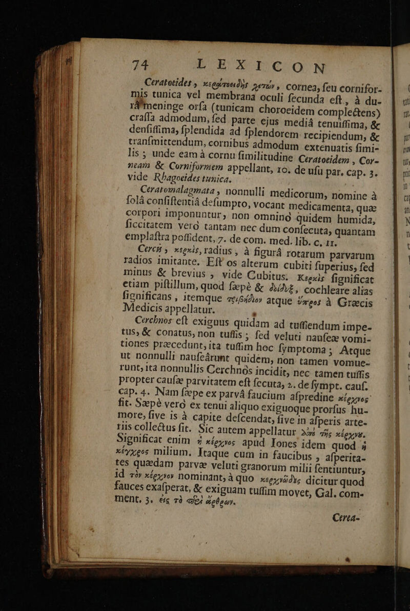                              74 DEXICOIN Ceratotides | κερῴτοειδὴς χετών, cornea, feu cornifor- mis tunica vel membrana oculi fecunda eft, à du- rdmeninge orfa (tunicam choroeidem complectens) craffa admodum, fed. parte ejus mediá tenuiffima, &amp; denfiffima fplendida ad fplendorem recipiendum, &amp; tranfmittendum, cornibus admodum extenuatis fimi- lis ; unde eam à cornu fimilitudine Ceratoeide , Cor- neam. ὃς. Corniformem appellant, zo. de ufü par. cap. 3. vide Rhagoeides tunica. | Ceratomalagmata , nonnulli medicorum, nomine à folá confiftentiá defumpto, vocant medicamenta, qua corpori imponuntur, non omning Quidem humida, ficcitatem verd tantam nec dum confecuta, quantam emplaftra poflident, 7. de com. med. lib. C. 1I. Cerchi 5. xsexis, radius , à figurá rotarum parvarum radios imitante. Eft os alterum cubiti fuperius; fed minus &amp; brevius ; vide Cubitus; Keexis fignificat etiam piftillum, quod faepé &amp; δοίδυξ, cochleare alias fienificans , itemque «e/&amp;idio» atque ὕπρο: à Graecis Medicis appellatur. . Cerchbnos eft exiguus quidam ad tuffiendum impe- tus, &amp; conatus, non tuflis ; fed veluti naufea vomi- tiones praecedunt, ita tuffim hoc [jymptoma ; Atque ut nonnulli naufeárunt quidem, non tamen vomue- runt; it4 nonnullis Cerchnas incidit, nec tamen tuffis propter caufa parvitatem eft fecuta, 5. de fympt. cauf. Cap. 4. Nam fzepe ex parvá faucium alpredine κέρχνος fit. Saepé verd ex tenui aliquo exiguoque prorfus hu- more, five is à capite defcendat, five in afperis arte- riis collectus fit. Sic autem appellatur 2o τῆς xigyys, κέγχρος milium. Itaque cum in faucibus 9 afperita- tes quedam parva veluti granorum milii fentiuntur, 14 τὸν κέρχνον nominant;à quo κερχνῶδες dicitur quod fauces exafperat, &amp; exiguam tuffim movet, Gal. com- ment. 3. εἰς τὸ c ἄρθρων.  
