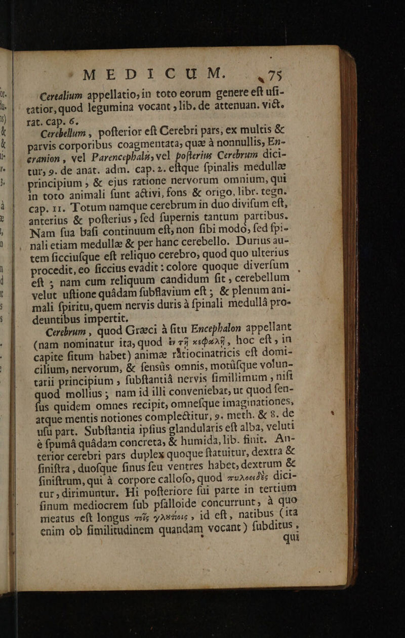 M EDI OIM. 75 Certalium appellatio; in toto eorum genere eft ufi- tatior, quod legumina vocant ; lib. de attenuan. viet. rat. cap. 6. Certbellum , pofterior eft Cerebri pats, ex multis & parvis corporibus coagmentata; qua à nonnullis, En- eranion , vel Parencepbala, vel. pofterius. Cerebrum dici- tur, 9. de anat. adm. cap. 2. eftque fpinalis medullae principium ; & ejus ratione nervorum omnium, qui in toto animali funt a&ivi, fons & origo, libr. tegn. cap. 11. Totum namque cerebrum in duo divifum eft, anterius ἃς pofterius ; fed fupernis tantum partibus. Nam fua bafi continuum eft; non fibi modo, fed fpi- nali etiam medullae ἃς per hanc cerebello. Durius au- tem ficciufque eft reliquo cerebro; quod quo ulterius procedit, eo ficcius evadit : colore quoque diverfum eft ; nam cum reliquum candidum fit ; cerebellum velut uftione quádam fubflavium eft ; & plenum ani- mali fpiritu, quem nervis duris à fpinali medullà pro- deuntibus impertit. Cardbyum , quod Graeci à fitu Encepbalon appellant (nam nominatur it2; quod ἐν τῇ κεφαλῇ . hoc eft, in capite fitum habet) animae ritiocinatricis eft domi- cilium, nervorum, & fensüs omnis, motüfque volun- carii principium » fubftantià nervis fimillimum 5 nifi quod mollius; nam id illt conveniebat, ut quod fen- fus quidem omnes recipit; omnefque imaginationes, atque mentis notiones complectitur, 9. meth. & 8. de ufü part. Subftantia ipfius glandularis eft alba, veluti ὃ fpumá quádam concreta; & humida,lib. finit. An- terior cerebri pars duplex quoque ftatuitur, dextra & finiftra , duofque finus feu ventres habet; dextrum & finiftrum, qui à corpore callofo, quod πυλοειδὲς dici- tur, dirimuntur. Hi pofteriore fui parte 1n certium finum mediocrem fub pfalloide concurrunt; à quo meatus eft longus τοῖς Aso » id eft, natibus (ita enim ob fimilitudinem quandam vocant ) fubditus , j qui