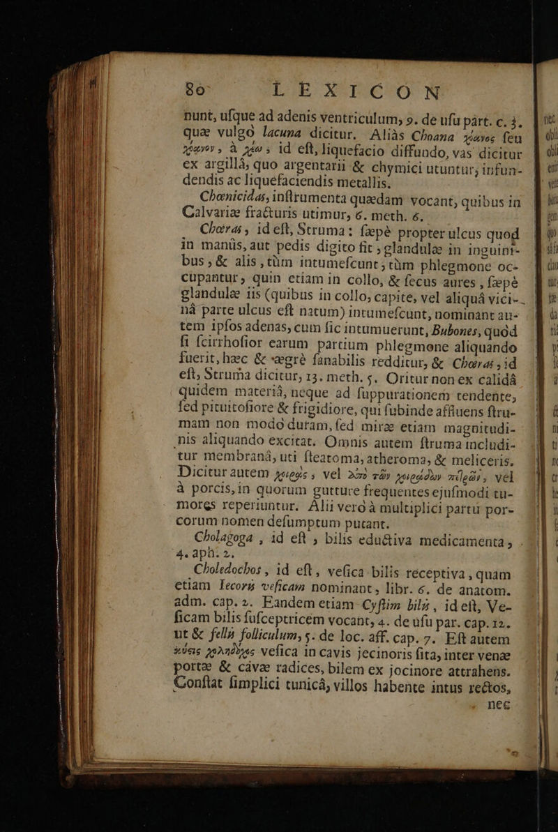 nunt, ufque ad adenis ventriculum; 9. de ufu párt. c. 3 qua vulgo lacuma dicitur. Aliàs Choana yiuyos feu χύανον» ἃ vo id eft, liquefacio diffundo, vas dicitur ex argillà; quo argentarii &amp; chymici utuntur, infua- dendis ac liquefaciendis metallis. Chonicidas, inflrumenta quaedam. vocant, quibus 1n Calvariz fra&amp;turis utimur; 6. meth. 6. Chorai , id eft, Struma: fzepé propter ulcus quod in manüs, aut pedis digito fit ; glandulae in inguint- bus, &amp; alis, tüm intumefcunt ; τὴ ΠῚ phlegmone oc- cupantur; quin etiam in collo, &amp; fecus aures Íaepé glandulee iis (quibus in collo, capite, vel aliquá vici- nà parte ulcus eft natum) intumefcunt, nominant au- tem ipfos adenas, cum fic intumuerunt, Bubones, quod fi ícirrhofior earum partium phlegmone aliquando fuerit, hec &amp; «gré fanabilis redditur, &amp; Chor , id eft; Struma dicitur, 13. meth. s. Oritur nonex calidá quidem materiá, neque ad fuppurationem tendente; fed pituitofiore ἃς frigidiore, qui fubinde affiuens flru- mam non modo duram, fed mirae etiam magnitudi- nis aliquando excitat. Omnis autem ftruma includi- tur membraná, uti fteatoma, atheroma; &amp; meliceris. Dicitur autem 4eezz , vel 262 τῶν χοιροίδὼν züed), vel à porcis,in quorum gutture frequentes ejufmodi tu- mores reperiuntur. Alii verd à multiplici partu por- corum nomen defumptum putant. Cholagoga , id eft ; bilis edu&amp;tiva medicamenta, . 4. apti: 2. Choledocbos , id eft, vefica bilis réceptiva , quam etiam lecorgs veficam nominant, libr. €. de anatom. adm. cap.z. Eandem etiam Cyflim bils , id ett, Ve- ficam bilis fufceptricém vocant, 4. de ufu par. cap. 12. ut &amp; fella folliculum, s. de loc. aff. cap.7. Eft autem &amp;óns 12220 »«s vefica in cavis jecinoris fita inter venae porte δὲ cávze radices, bilem ex jocinore attrahens. Conftat fimplici tunicá; villos habente intus reétos, nec                      