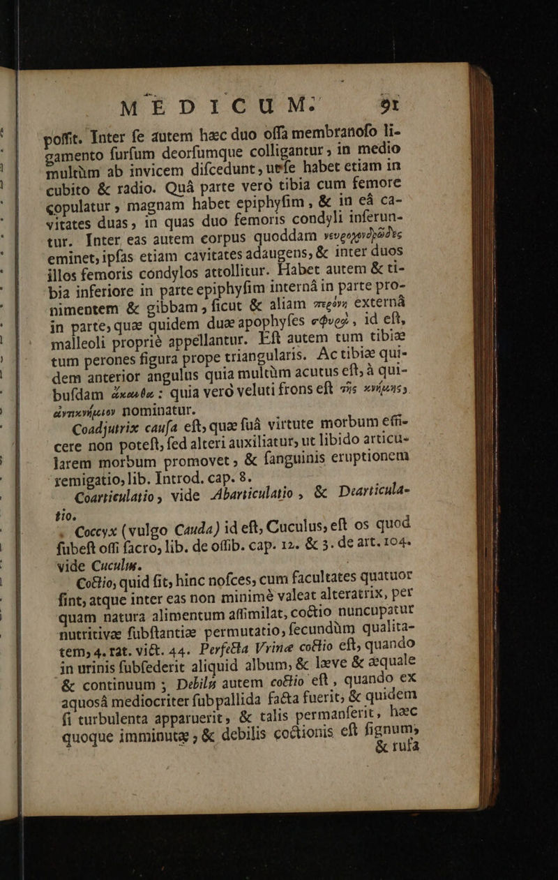 MEDICUM. 9I poffit. Inter fe autem hac duo offa membranofo li- gamento furfum deorfumque colligantur; in medio multüm ab invicem difcedunt; uefe habet etiam in cubito & radio. Quá parte vero tibia cum femore copulatur, magnam habet epiphyfim , & in eá ca- vitates duas, in quas duo femoris condyli inferun- tur. [nter eas autem eorpus quoddam νευροχονδρῶδες eminet, ipfas etiam cavitates adaugens, & inter duos illos femoris condylos attollitur. Habet autem & ti- bia inferiore in parte epiphyfim interná in parte pro- nimentem & gibbam; ficut & aliam περόνη externáà in parte, quae quidem due apophyfes e$vez , id eft, malleoli proprie appellantur. Eft autem tum tibiae tum perones figura prope triangularís. Actibiz qui- dem anterior angulus quia multàm acutus eft; à qui- bufdam ἄκανθα : quia vero veluti frons eft τῆς κνήμοης» yn vi 0 nominatur. Coadjutrix caufa eft, quae fuà virtute morbum efíi- cere non poteft, fed alteri auxiliatur, ut libido articu- larem morbum promovet & fanguinis eruptionem xemigatio, lib. Introd. cap. 8. Coartieulatio vide .Abarticulatio , & Duarticula- Coccyx (vulgo Cauda) id eft, Cuculus; eft os quod fubeft offi facro, lib. de offib. cap. 12. & 5. de art. 104. vide Cuculim. ! ᾿ €o&io; quid fit; hinc nofces, cum facultates quatuor fint; atque inter eas non minimé valeat alteratrix, per quam natura alimentum affimilat, co&io nuncupatur nutritivae fübfiantiae permutatio, fecundüm qualita- tem; 4. rat. Vict. 44. Perfetla Vrine co&lio eft, quando in urinis fübfederit aliquid album, & leve & aequale & continuum ; Debils autem co&Ho eft , quando ex aquosá mediocriter fübpallida fa&a fuerit; & quidem fi turbulenta apparuerit, & talis permanferit, hac quoque imminuta ; & debilis co&tionis eft ges | rufa