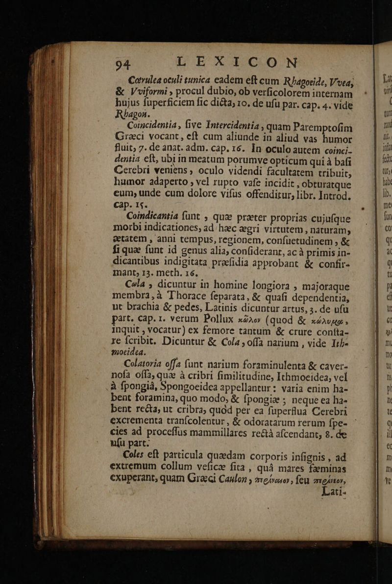         94 LEXICON Covulea oculi tunica eadem eft cum Rhagoeide, Y vea, &amp; Vviformi » procul dubio, ob verficolorem internam hujus fuperficiem fic dicta; ro. de ufu par. cap. 4. vide Rhagon. Coincidentia , five Intercidentia , quam Paremptofim Graeci vocant, eft cum aliunde in aliud vas humor fluit; 7. de anat. adm. cap. 16. In oculo autem coinci- dentia eft, ubi in meatum porumve opticum qui à bafi Cerebri veniens ; oculo videndi facultatem tribuit; humor adaperto , vel rupto vafe incidit, obturatque cum; unde cum dolore vifus offenditur, libr. Introd. Cap. 15. Coindicantia funt , quae praeter proprias cujuíque morbi indicationes, ad; heec &amp;gri virtutem , naturam, eetatem , anni tempus, regionem, confuetudinem , &amp; fi quae funt id genus alia; con(iderant, ac à primis in- dicantibus indigitata pracfidia approbant ἃς confir- mant; 13. meth. 16. ! Cola 5. dicuntur in homine longiora » majoraque membra, à Thorace feparata, &amp; quafi dependentia, ut brachia &amp; pedes, Latinis dicuntur artus, 2. de ufu part. cap. 1. verum Pollux κῶλον (quod &amp; xé»vpa - inquit , vocatur) ex femore tantum &amp; crure contta- re fcribit. Dicuntur &amp; Cola , offa narium , vide Ith- motidea. j | Colatoría offa (unt narium foraminulenta ἃς caver- nofa offa; qua à cribri fimilitudine, Ithmoeidea, vel à fpongià, Spongoeidea appellantur: varia enim ha- bent foramina, quo modo, ἃς fpongize ; neque ea ha- bent recta; ut cribra; quód per ea fuperflua Cerebri excrementa tranícolentur , &amp; odoratarum rerum fpe- u(u part. Coles eft particula quaedam corporis infignis , ad extremum collum veficae fita , quá mares fzeminas exuperant, quam Gracql Caulon ; περίναιον, feu n ati. 