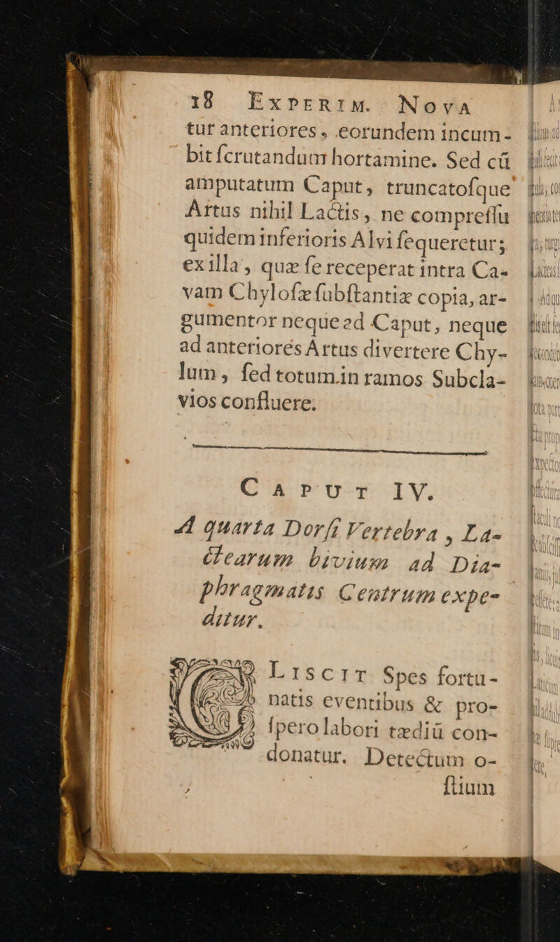 tut anteriores, eorundem incum - bit fcrutandum hortamine. Sed cü amputatum Caput, truncatofque Artus nihil Lactis, ne comprefíu quidem inferioris Alvi fequeretur; ex illa, quz fe receperat intra Ca- vam Chylofz fubftantix copia, ar- gumentor nequeed Capat, neque ad anteriores A rtus divertere Chy- lum , fed totum.in ramos Subcla- vios confluere. Vei ison ad iria! HERE CaArvur IV. 4 quarta Dorft Vertebra , La- earum bivium ad. Dia- phragmatis Centrum expe- ditur. M Lriscrim Spes fortu - 75b natis eventibus &amp; pro- fperolabori tzediü con- Au) - 2 donatur. Detectum o- | fium