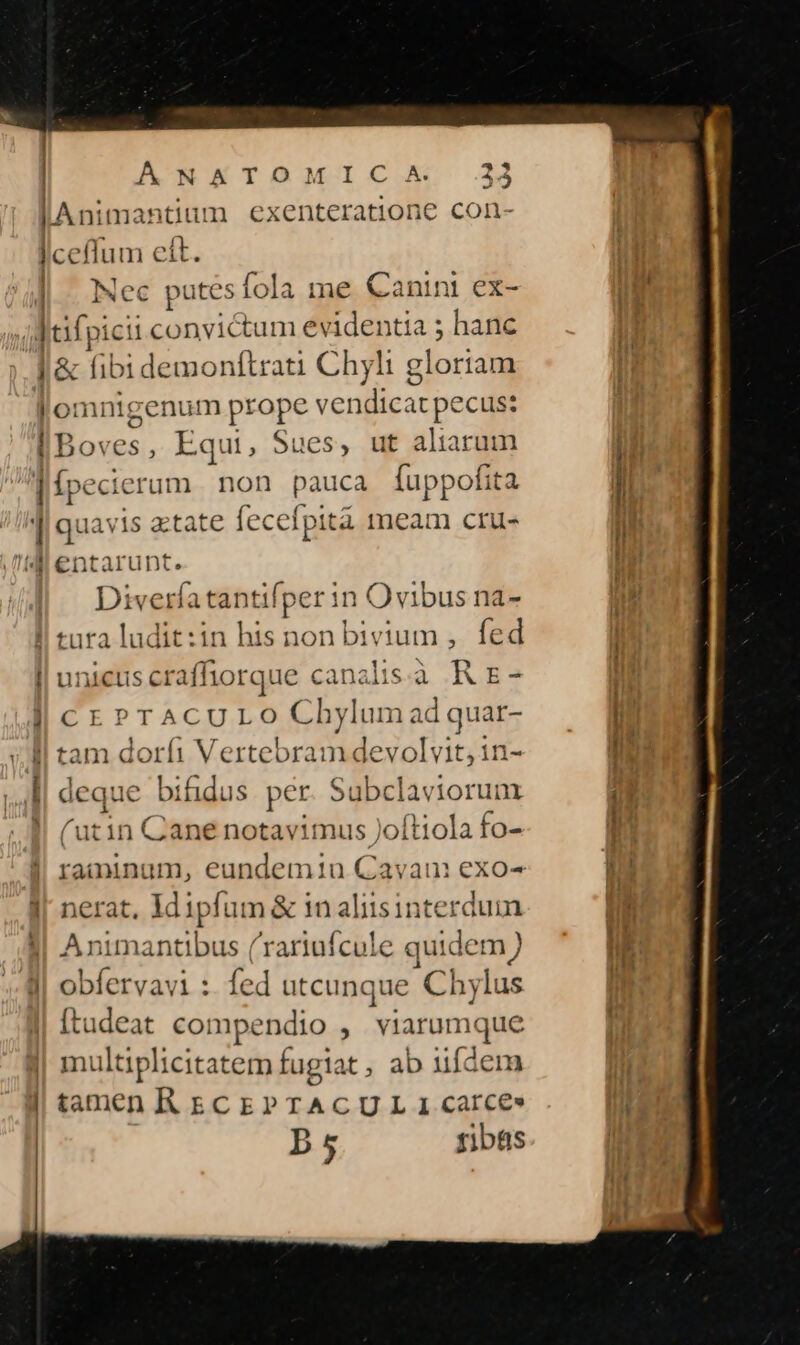 I n. Nec putes fola me Canin ex- E SV Equt, Sues, ut aliarum iu quavis atate fecefpità meam ctru- entarunt. Div fa tantifper in Ovibus na- unicus craffiorque canalisà R E- CEPTACULO Chylum ad quar- tam doríi Vertebram devolvit, in- deque bifidus per Subclaviorum (utin Cane notavimus Joftiola fo- raaminum, eundemiu Cavan exo- Animantibus /rariufcule quidem ) obfervavi :. fed utcunque Chjlae Ande compendio , viarumque multiplicitatem fugia it , ab iifdem tamen KR ECEPTACUL 1 carce» b5 ribas