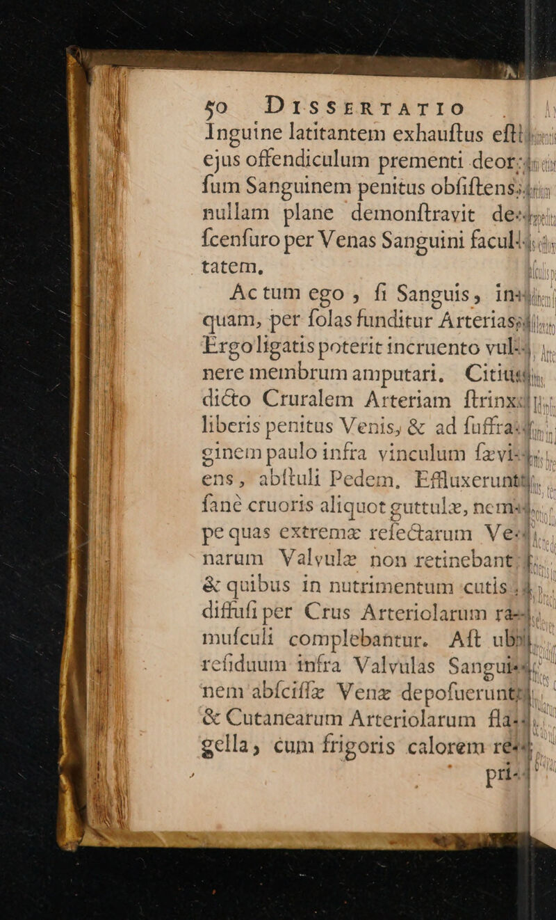 Inguine latitantem exhauftus es : ejus offendiculum prementi deor:4 fum Sanguinem penitus ob(itenss fim nullam plane demonftravit de«j Ícenfüuro per Venas Sanguini facul idi tatem, Actum ego , fi Sanguis, insi quam, per folas Riiditar. Arteriasgdi Ergoligatis poterit i incruento vul:4 nere membrum amputari, Citiusj; dicto Cruralem Arteriam ftrinxdi liberis penitus Venis, &amp; ad fuffras einem paulo infra vinculum (ovid : ens, abítuli Pedem, Effluxerumn, fané cruoris aliquot guttulz, nem, O pequas extremx refectarum Ve: narum Valyule non retinebant [. &amp; quibus in nutrimentum :cutis sd» . diffufi per Crus Arteriolarum r&amp;; mufculi complebatirur. A1t ubi. rcfiduum infra Valvulas Sanguis nem abíciffz Venzx depofueruntgj. | &amp; Cutanearum Arteriolarum flaij.. gella, cum frigoris calorem re$ pr i