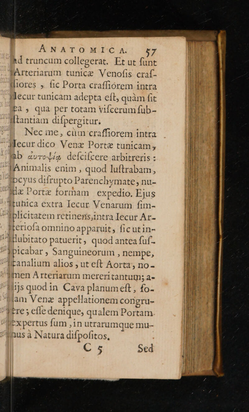 hd truncum collegerat. Et ut funt PArteriarum tunicz Venofis craf- i«liores ,. fic Porta craffiórem intra Mecur tunicam adepta eít, quàm fit P2, qua per totam vifcerum füb- Wtantiam difpergit uf. 4 Necme, cüm craffiorem intra -Mecur dico Venz Portz tunicam, b zurolía defcifcere arbitreris : | Animali is enim , quod luftrabam, bcyus difrupto Parencln vmate , nu- iix Portz formam expedio. Ejus tuhica extra Iecur Venarum fim- d lici atem retinesis,intra Iecur Ar- Iteriofa omnino appa iuit, ficutin- Sülubitato patuerit , quod antea fuf- Ipicabar , Sanguineorum , nempe, Biranaltum alios , ut eft Aorta, no- Jimen A rtertarum mereritantum; a- ijs quod in. Cava planum eft , fo- iam Vena appellationem congru- Pre 5 effe denique; qualem Portam expertus fum ,in utrarum Ique mu- inus à Natura difpofitos, C 5 Sed