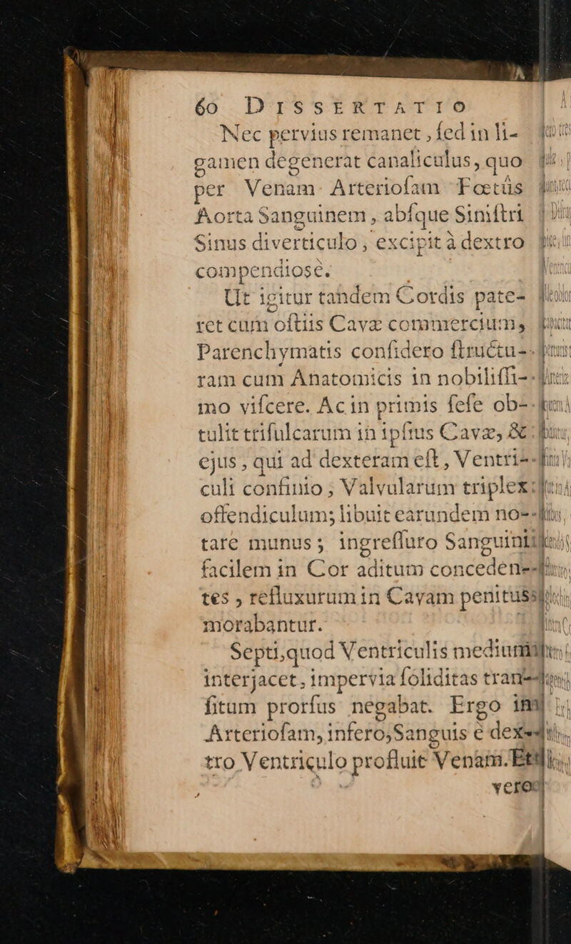 Nec serviusremanet ,fed in l--— dos TE | gamen degenerat rica nie e quo | per Venam-. Arteriofam Foetüs um forta Sanguinem, abíque Sinitri e Sinus diverticulo , excipit à dext ro ompendtose. Ut ieitur tandem Cotdts pate- tet cum oftiis Cavz commerciu: ns bnc Parenchymatis confidero ftruéctus fu ram cum Anatomicis in nobiliffi- Ju: uu mo vifcere. Acin primis fefe ob- Wu! || culittrifulearum 10 ipfius Cava; &amp; pu: | ejus , qui ad dexteram el , Ventris fui culi confinio ; Valvularum triplexifani offendiculum; libuit earundem no- 4i, tare munus ; ingreffuro Sanguiniilti; facilem 1n Cor aditum concedenedi; tes , refluxurum in Cayam penitusspi; morabantur. | Sept, quod Ventricu lis medium l interjacet, imperviaí foliditas tranedos. fitum prorfus negabat. Ergo imi Ax MEE dex tro Ventriculo profluit Vepanm. Eti... vero e