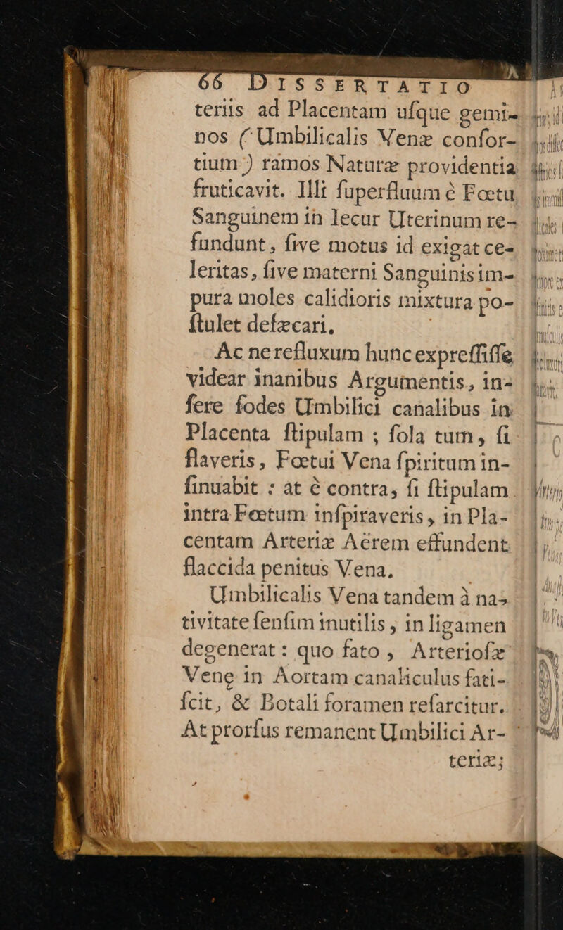 teris ad Placentam ufque gemi- nos (Umbilicalis Venz confor- tium ) ramos Naturz providentia fruticavit. Illt fuperfluum à Ecetu Sanguinem in lecur Uterinum re- fundunt, fie motus id exigat ce- leritas, five materni Sanguinisim- pura moles calidioris mixtura po- ftulet defzcari, Ac nerefluxum hunc expreffiffe videar inanibus Argutnentis, in- fere fodes UImbilici canalibus in: Placenta ftipulam ;: fola tum, fi flaveris, Foetui Vena fpiritum in- finuabit : at é contra, fi ftipulam intra Feetum infpiraveris , in Pla- centam Arteriz Aerem effundent flaccida penitus Vena, Uinbilicalis Vena tandem à na; tivitate fenfim inutilis , in ligamen degenerat: quo fato , Arteriofze Vene 1n Aortam canaliculus fati- fcit, &amp; Botali foramen refarcitur. At prorfus remanent Uuabilici Ar- terio;