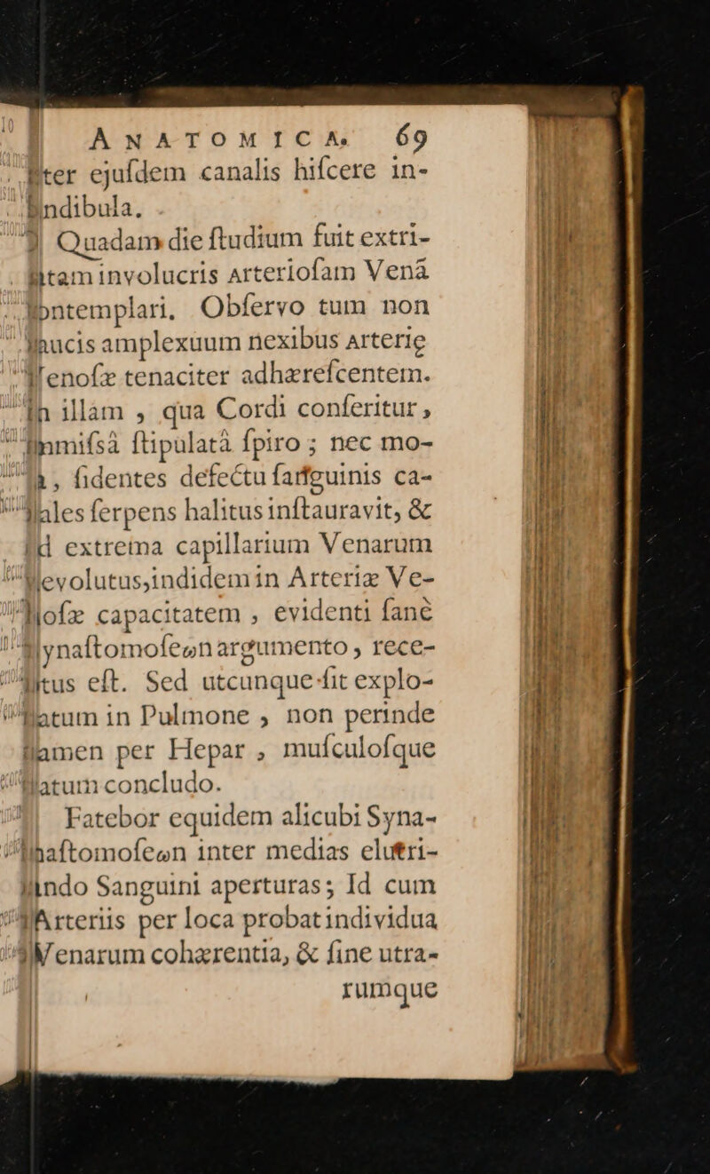 Brer ejufdem «canalis hifcere in- Bndibula. 3 Quadam die [ftudium fuit extri- litaminvolucris Arteriofam Vena Ébntemplari; Obfervo tum non nucis amplexuum nexibus arterie lfenofz tenaciter adhzrefcentem. In illàm , qua Cordi conferitur , linmifsà ftipulatà fpiro ; nec mo- 1, fidentes defectu farfeuinis ca- dMales ferpens halitusinftauravit, &amp; !d extrema capillarium Venarum Mevolutusjindidemin Arteriz Ve- Nofz capacitatem , evidenti fané E Iynaftomofeon argumento , rece- litus eft. Sed utcunque fit explo- Batum in Pulmone ; non perinde llamen per Hepar , mufculofque latum concludo. Fatebor equidem alicubi Syna- lihaftomofeen inter medias elutri- lindo Sanguini aperturas; Id cum NArteriis per loca probatindividua Wenarum coharentia, &amp; fine utra- rumque