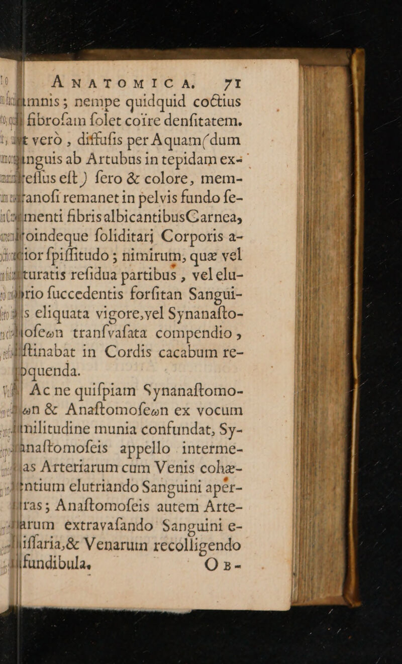 üimnis; nempe quid Iquid co&amp;tius ] Bisrofa un folet coire denfitatem. | E vero , diffufis per Aqua am( dum N jinguis ab Artubus in tepidam exs wreflus eft) fero &amp; colore, mem- n Mano remanet in pelvis fundo fe- (menti fibrisalbicantibusGarnea, mlloindeque foliditarj Corporis a- iior fpiffitudo ; nimirum; quz vel fturatis refidua partibus , vel elu- | ario fuccedentis forfitan Sangui- o eliquata vigore,yel Sy nanaíto- d.i dria compendio ; Bftinabat in Cordis cacabum re- Ipquenda. Ac ne quifpiam Synanaftomo- Bun&amp; Anaftomofesn ex vocum Iimilitudine munia confundat, Sy- ;Aanaftomofeis appello | interme- las Artertarum cum Venis cohz- 'ntium elutriando Sanguini aper- llrass Anaftomofeis autem Arte- Jlarum extravafando Sanguini e- Jiiiflaria,&amp; Venaruin recolligendo | Hfandibula. O s-