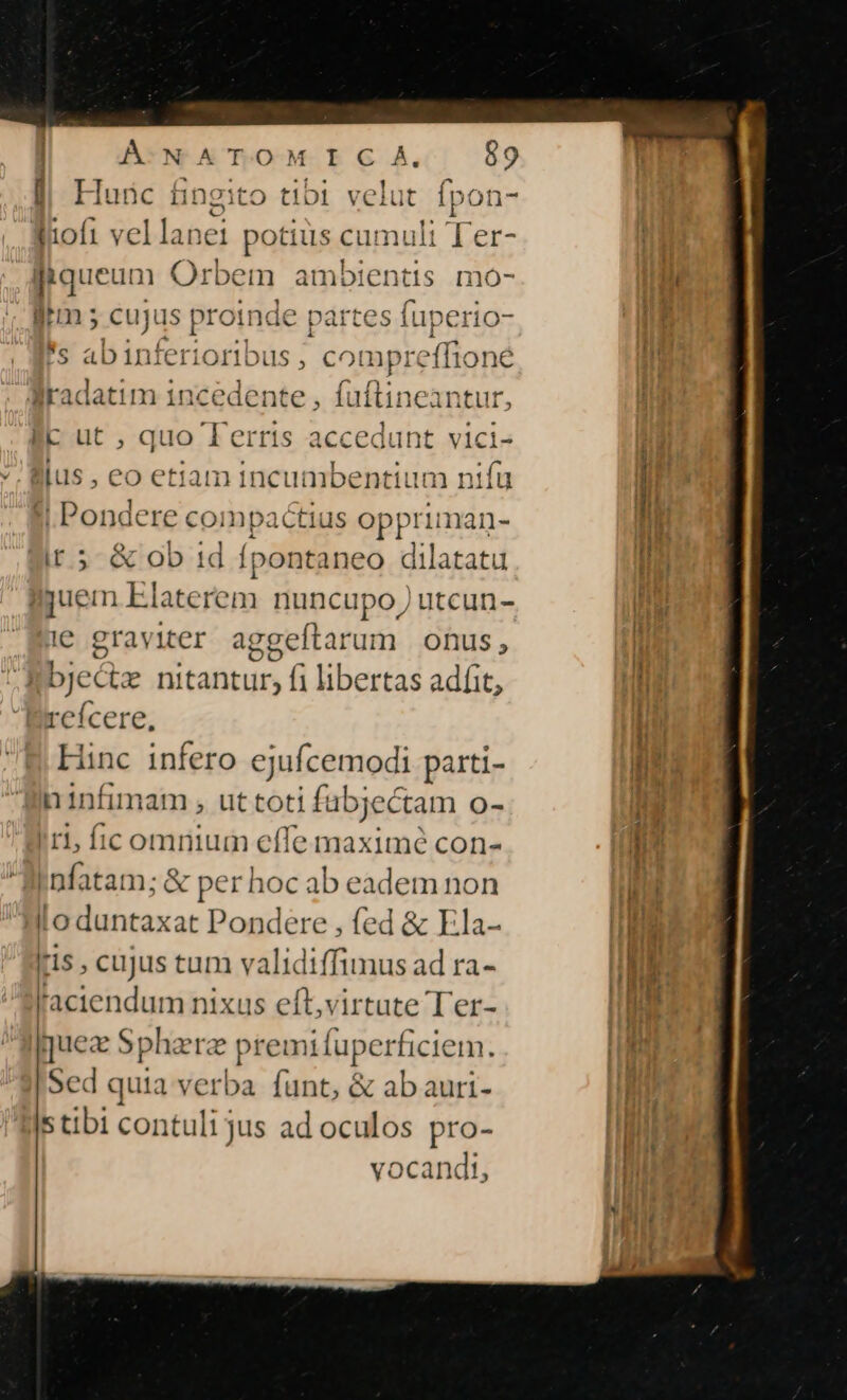 Á:-N A T.O M IC À. l| Hunc &amp; ingito tibl velut fpon- fiofi vel lanei potius cumuli T jiqueum Orbem ambientis mo- irm ; cujus proinde part es fuperio- s abinferioribus , compreffione Blradatim 1ncedente , fuftineantur, Bc ut , quo T« erris accedunt vici- llus, eo etiam incumbentium nifu ! Pondere compa ctius Sppritén- it 5 &amp; ob 1d Ípontaneo dilatatu luem Elaterem nuncupo ) utcun- Ie graviter aggeftar um onus , Abjectz nitantur, fi libertas adfit, reícere, Hinc niii o ejuícemodi parti- ninfimam , ut toti fübjectam o- Iri, ficomnium hr, piti in, con- Infatam; &amp; per hoc ab eadem non lo duntaxat Pondere , fed &amp; Ela- fis , cujus tum validiffimus ad ra- l'aciendum nixus eft,virtute Ter- Iqueze Sphae 2? preu ifuperf ficiem. Sed quia verba funt, &amp; ab auri- stibi contuli jus ad oculos pro- vocandi,
