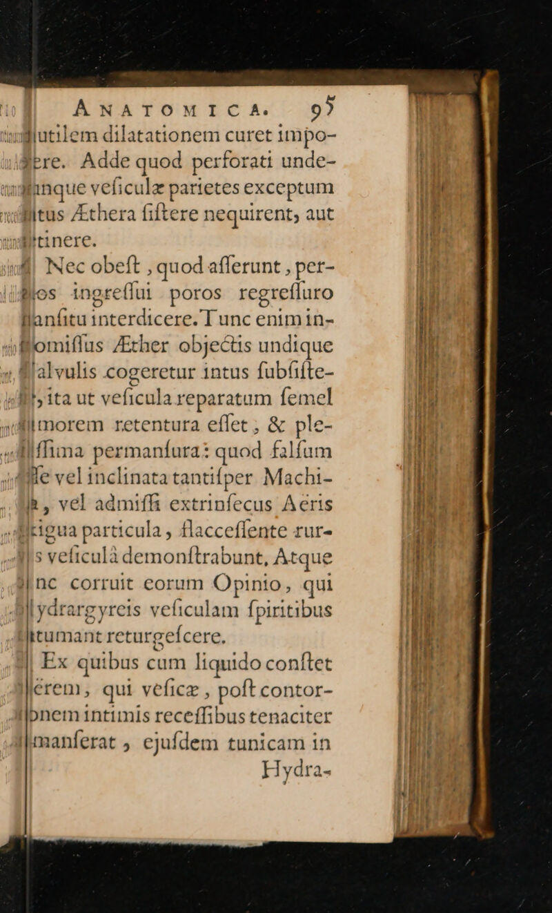  [uem dilatationem curet 1mpo- ere. Adde quod perforati unde- vH lao. ue veficulz parietes exceptum litus /thera fiftere nequirent; aut Jitinere. :dl| Nec obeft , quod afferunt , pet- Blos ingref (fui poros regrefluro Blanfitu interdicere. T unc enim in- Wlomiflus ZEher objecüs undique lalvulis cogeretur intus fubfiíte- «lif ita ut veficula reparatum femel ;Slimorem retentura effet ; &amp; ple- lIffima permanfura: quod falfum lle vel inclinata tantifper Machi- Ik, vel admiffi extrinfecus Aeris kigua particula , flacceffente rur- is veftculà demonftrabunt, Atque ! nC corruit eorum Opinio, qui |ydra wgyreis veficulam Ípiritibus itumant returgefcere, Ex quibus cum liquido conftet erem, qui veficz , poft contor- bnem intimis receífibus tenaciter maníerat ejufdem tunicam in Hydra-