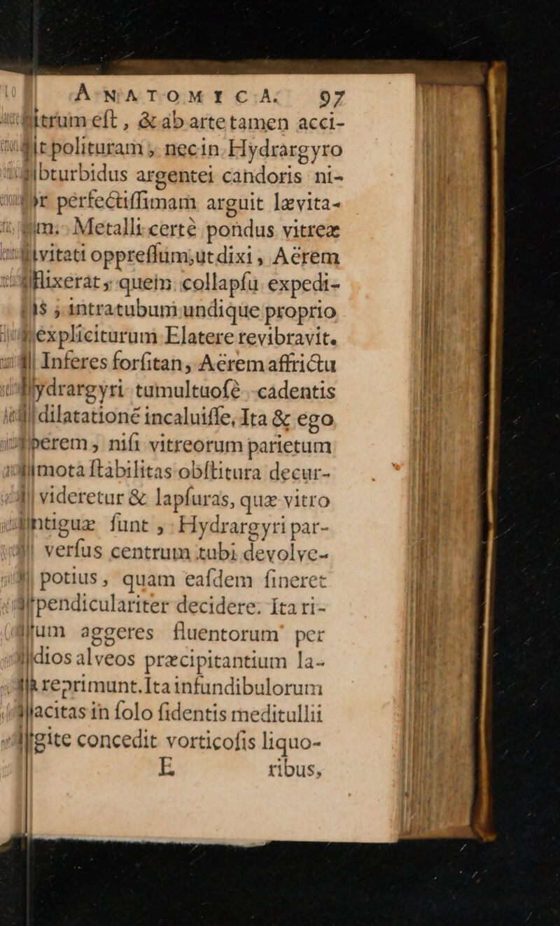 fit polituram y. necin Hydrargyro ^ | 4 Bibturbidus argentei candoris ni- : Fees ; ?im.-- Metallt certe pondus vitrez !as$ ;.1sntratubum undique proprio I! videretur &amp; lapfuras, quz Vitro J| verfus centrum tubi devolyc- |j potius, quam eafdem finerec lum aggeres fluentorum' per Illdios alveos precipitantium la- lacitas in folo fidentis meditullii Igite concedit vorticofis liquo- E ribus,