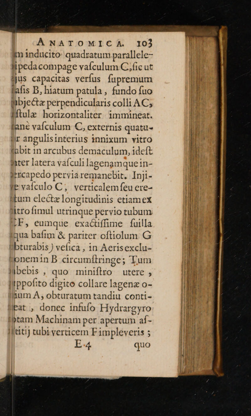 ÁNATOMICA. 102 [m 1nducito: quadratum parallele- llpedacompage vafculum C.fic ut jjus capacitas verfus fupremum lafis B, hiatum patula, fundo fuo libjecta perpendicularis colli AC; Mtulz horizontaliter immineat. fane vafculum C, externis quatu- ir angulisinterius innixum vitro tubit 1n arcubus demaculum, ideft Bater latera vaífculi lagenamquein- Itrcapedo perviaremanebit. Inji- te vafculo C; verticalemfeu ere- litum electz longitudinis etiamex litro fimul utrinque pervio tubum MF, eumque exacüffime fuilla Inua bafim &amp; pariter oftiolum. G li«bturabis ) vefica , in Aerisexclu- Ponemin B circumftringe; Tum Mbebis , quo miniflro utere , II ppofito digito collare lagenz o- laum A, obturatum tandiu conti- Pat , donec infufo Hydrargyro ilptam Machinam per apertum af- (titi) tubi verticem F impleveris ; | E 4 quo