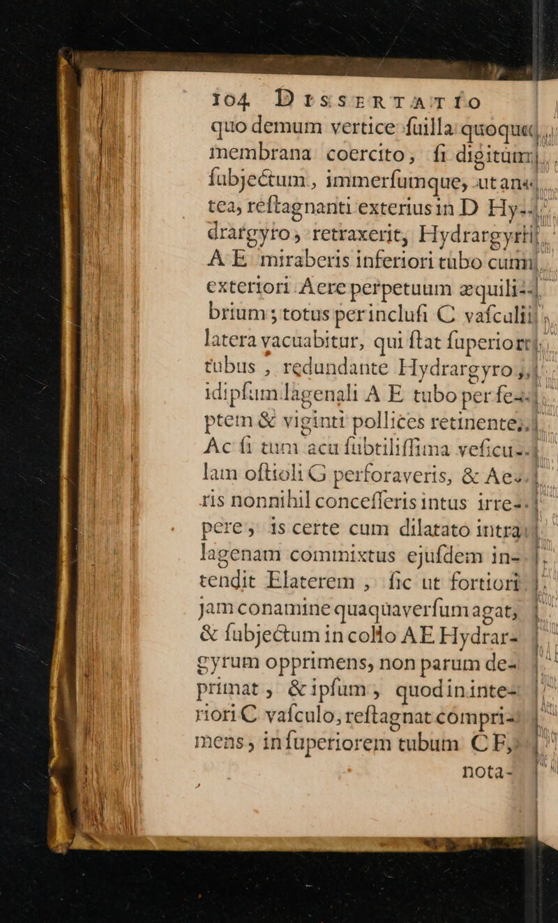 quo demum vertice fuilla quoqu«, membrana coercito, fi digitum; , fubjeéctum., immerfumque, .ut an« I. tea, reftagnanti exteriusin D Hys4. drargyro , Ietraxerjt, Hydrargyriij E A E miraberis inferiori cübo cum. exteriori Aere perpetuum gquili44. brium ; totus perinclufi C. vafculiil latera vacuabitur, qui flat fuperior]. tubus , redundante Hydrargyro ,,j idipfum lagenali A E. tubo per fed]. ptem &amp; vigintt pollices retinente;, Ac fi tum aca fübtiliffima veficuz.] lam ofttoli G perforaveris, &amp; Aeu]. ris nonnihil concefferisintus irrez.1^ pere, is certe cum dilatato intrai] lagenam commixtus ejufdem in- .]. tendit Elaterem ,. fic ut fortiori]. Jam conamine quaqüaverfum agat, &amp; fubjectum in coHo AE Hydrar- gyrum opprimens; non parum de- |. primat &amp;ipfum; quodinintez |^ riori C vafculo, reftagnat compri- | ^ mens, in fuperiorem tubum CF: ^ nota-