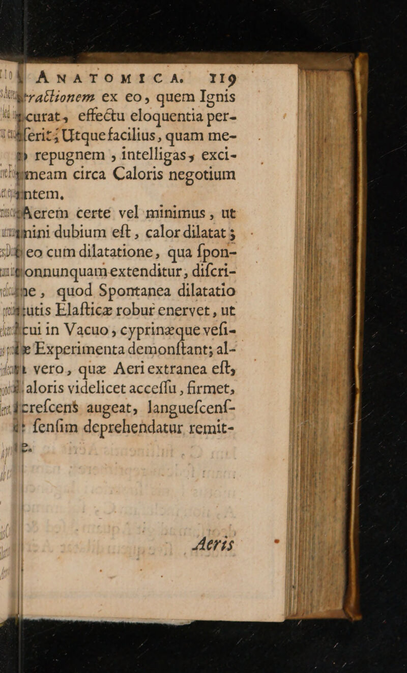 i A: NATOMICA II9 JE ratlionem ex eo, quem Ignis (curat, effectu eloquentia p per- Wert; Utquefacilius, quam me- . [p repugnem , intelligas; exci- '''*meam circa Caloris negotium t 4intem., erem certe vel minimus , ut tnini dubium eft , calor dilatat 3 feo cum dilatatione, qua fpon- uJJfonnunquam extenditur; difcri- ume, quod Spontanea dilatatio &amp;tutis Elafticz robur enervet , ut tÉitui in Vacuo , cyprinzque vefi- de Experimenta demonftant; al- fi vero, que Aeriextranea eíl; wd aloris videlicet acceffu , firmet, «Écrefcens augeat, languefcenf- 4* fen(im deprehendatur remit- c- )D $ 94