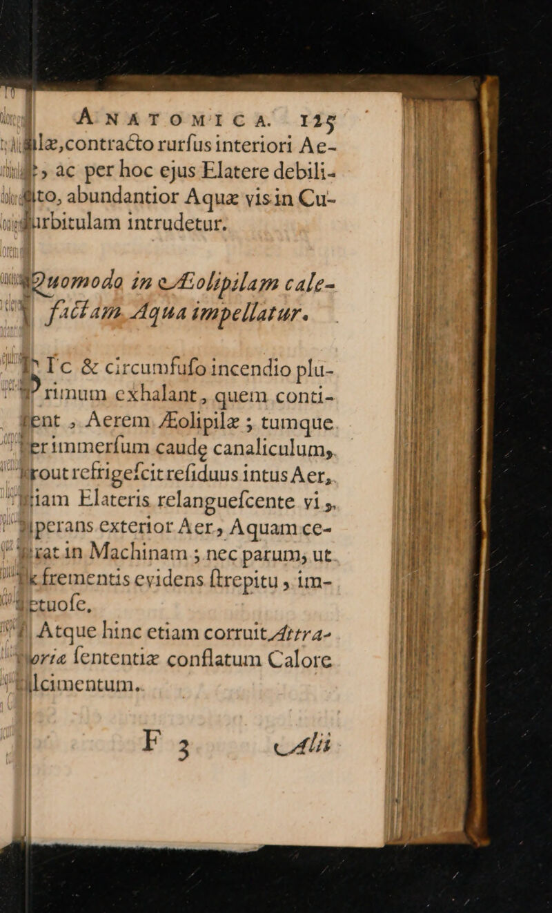 vidilae, contracto rurfusinteriori Ae- ift» ac per hoc ejus Elatere debili- il; dito, abundantior Aquz visin Cu- uwelurbitulam intrudetur. ug uomodo in e folipilam cale- UX facfam..Aqua pellatur. I^ Fc &amp; circumfufo incendio plu- Y? rimum exhalant , quem conti- lent , Aerem ZEolipilz ; tumque 'Teruimmeríum caude canaliculum, Rrout refrigefcit refiduus intus Aer, Mperans exterior Aer, Aquam ce- rat in Machinam ; nec parum, ut 4t frementis evidens [trepitu , im- Setuofe, * f Atque hinc etiam corruit 47zza- (r:« lententiz conflatum Calore ilcimentum. F B calli