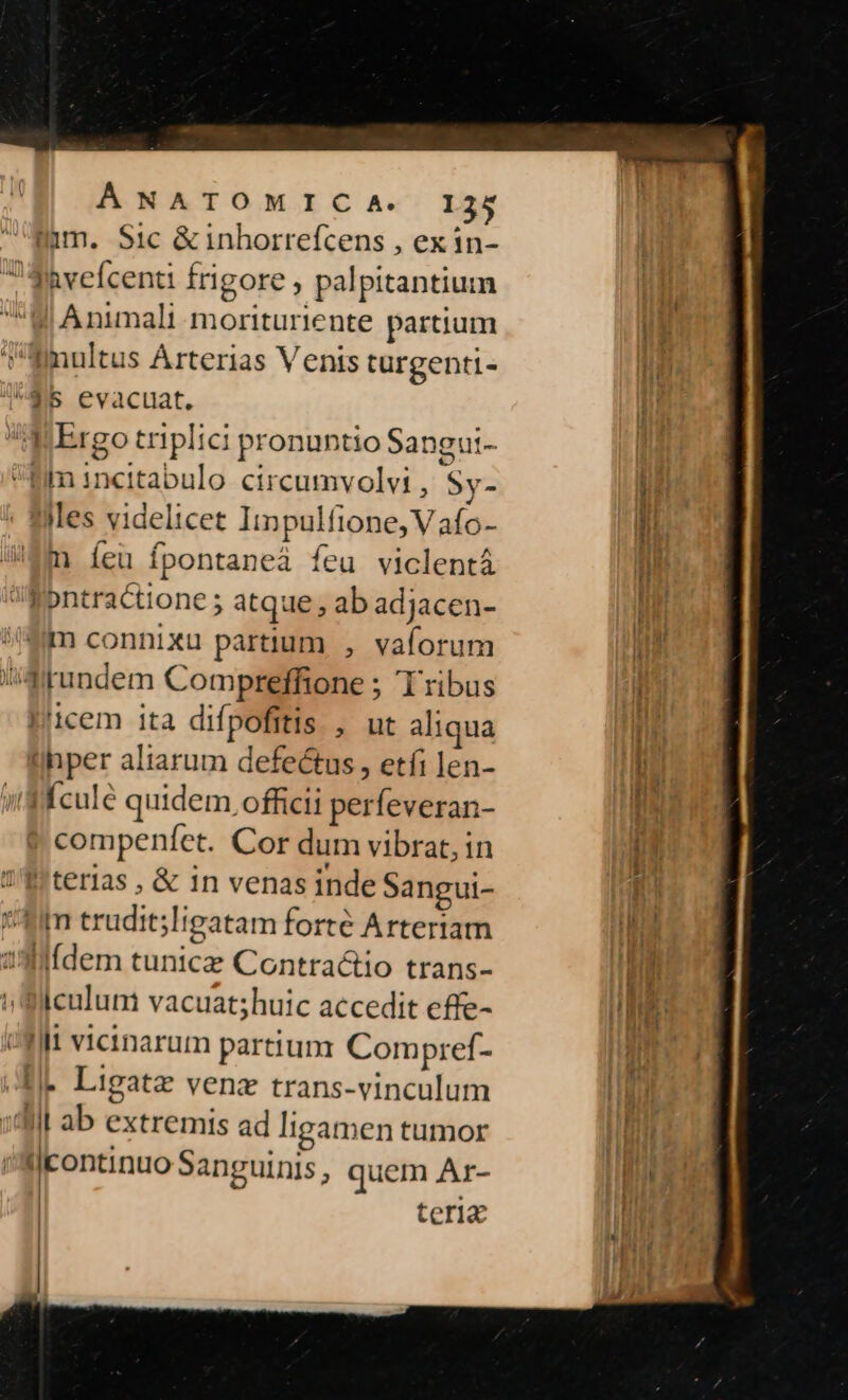 1m. Sic &amp; inhorrefcens , ex in- A vefcenti frigore ; palpitantium M Animali morituriente partium 'ainnltus Arterias Venis turgenti- 45 evacuat. M Ergo triplici pronuntio Sangui- fim 1ncitabulo circumvolvi , Sy- Mes videlicet Iipulfione, V afo- m íeu fpontaneà feu viclentá 'Fontractione ; atque ; ab adjacen- m connixu partium , vaforum Atundem Compreffione ; Tribus Jicem ita difpofitis , ut aliqua lIhper altarum defeétus , etfi len- IÉculc quidem, officii perfeveran- |! compenfet. Cor dum vibrat, in terlas , &amp; 1n venas inde Sangui- fim trudit;ligatam forte Arteriam IlÍdem tunicz Contractio trans- iculum vacuat;huic accedit effe- o vicinarum partium Compref- I|. Ligatz venz trans-vinculum 4lll ab extremis ad ligamen tumor | ilcontinuo Sanguinis, quem Ar- | teria |