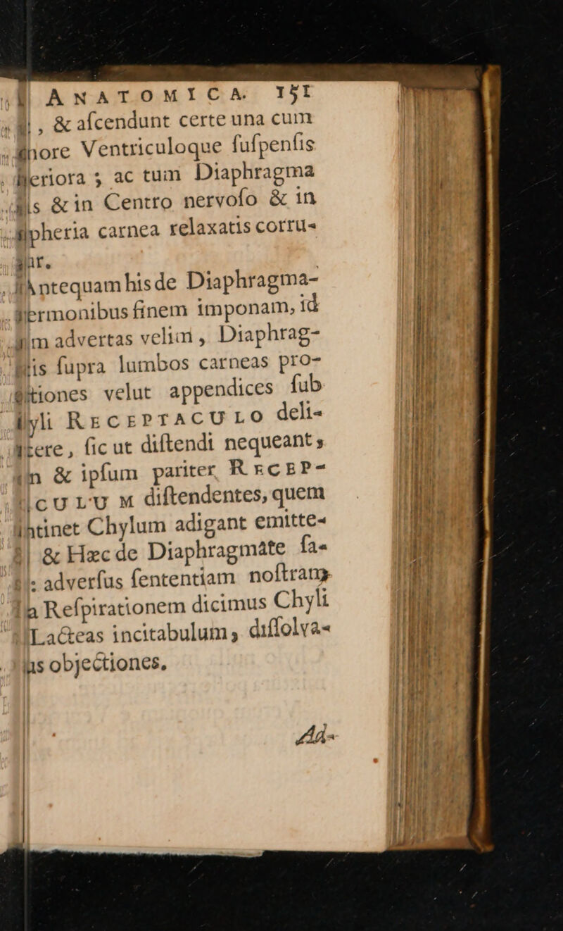 | ANATOMICA T5! . 8i, &amp; afcendunt certe una cum Shore Ventriculoque fufpenfis . leriora ; ac tum Diaphragma iis &amp;in Centro nervofo &amp; in llpheria carnea relaxatis corru« aur. | IA ntequam his de Diaphragma- Sibrmonibus finem imponam, 1 Am advertas veliai , Diaphrag- iis fupra lumbos carneas pro- S iones velut appendices fub llyli RECEPTACULO deli- Itere, ficut diftendt nequeant; in &amp; ipfum pariter R EC EP- cu ru x diftendentes, quem ihtinet Chylum adigant emitte || &amp; Hzcde Diaphragmate fa« . adverfus fententiam noftrang a Refpirationem dicimus Chyli La&amp;eas incitabulum , diffolva- ius objectiones,